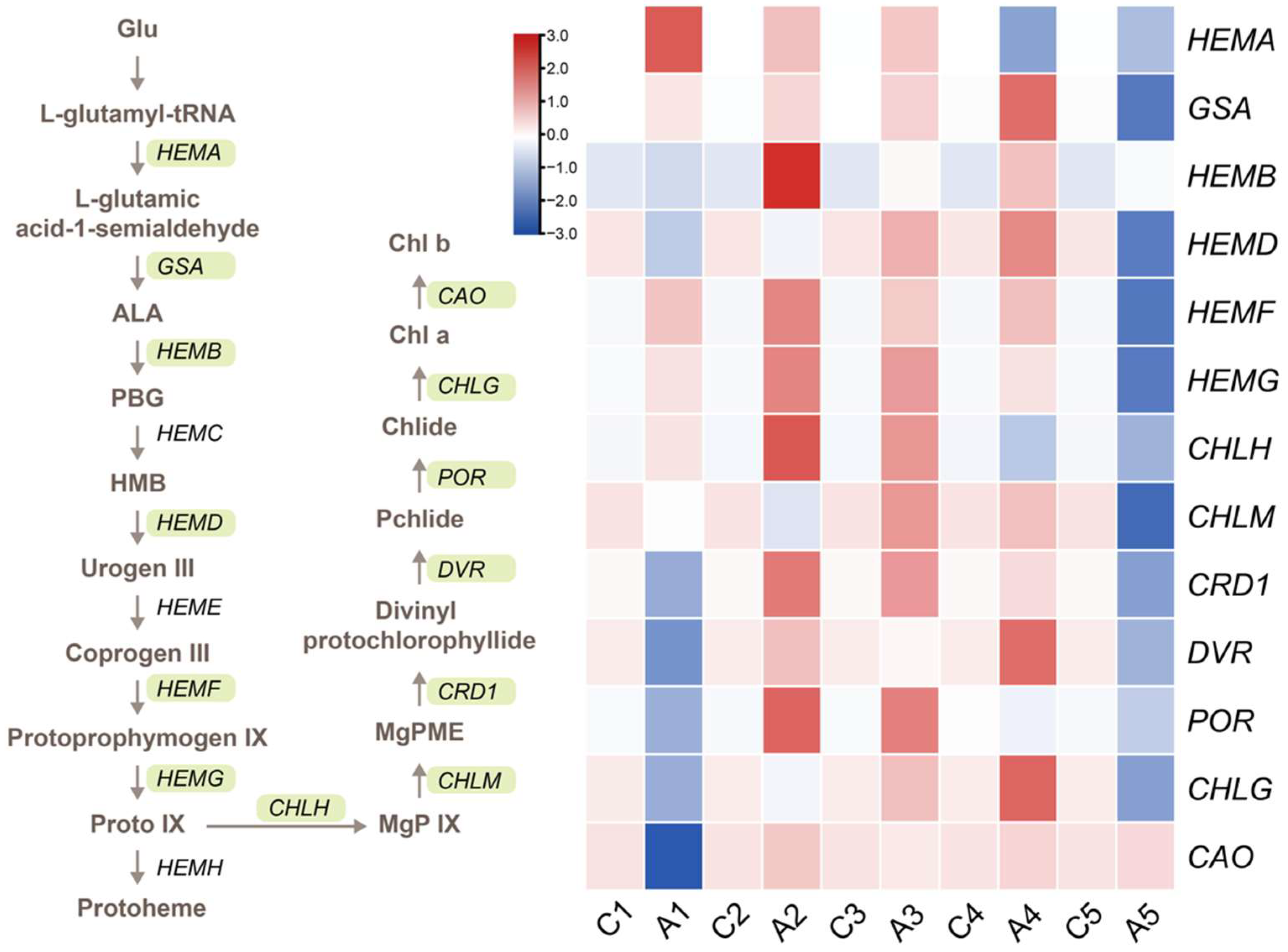 Forests 15 00769 g005