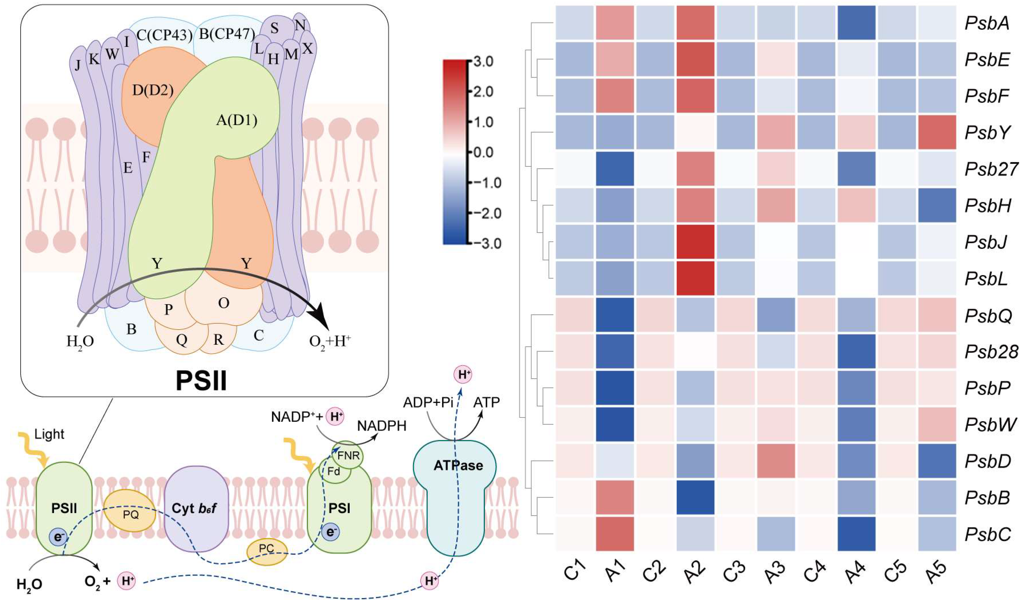 Forests 15 00769 g007