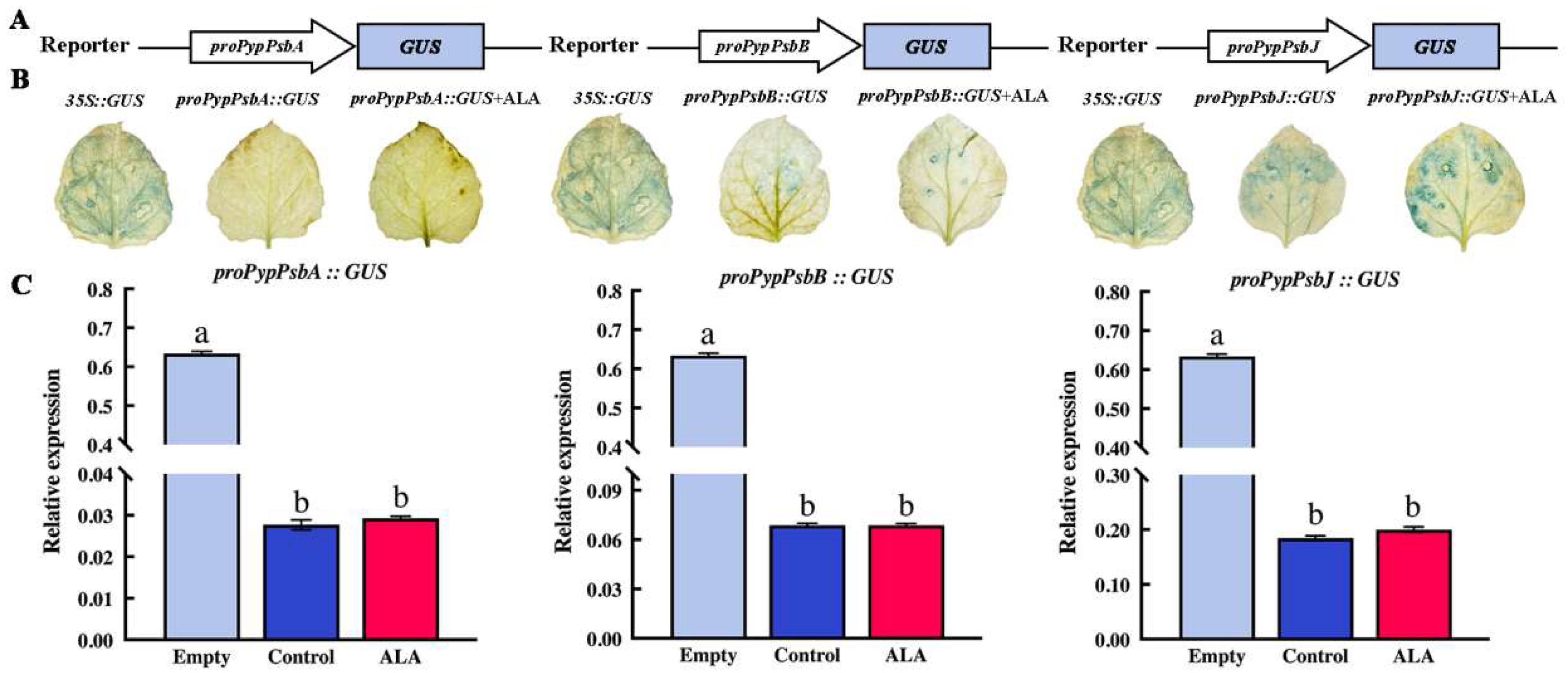 Forests 15 00769 g008