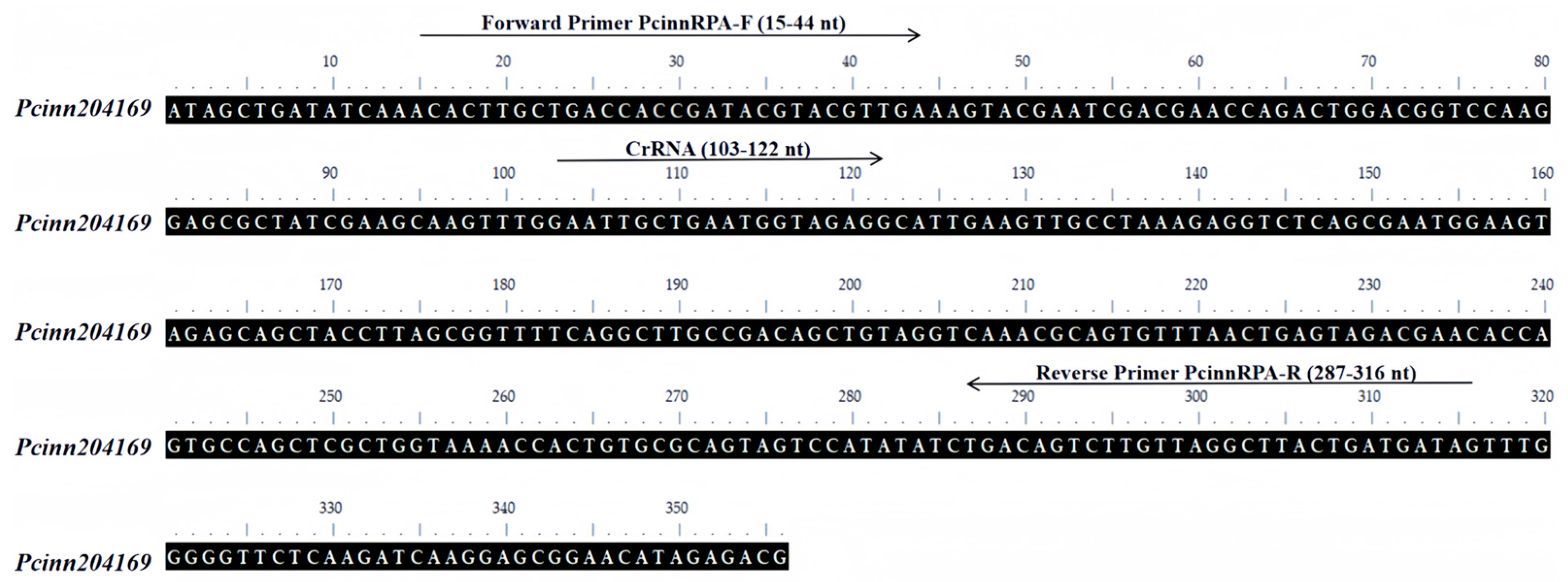 Forests 15 00772 g001