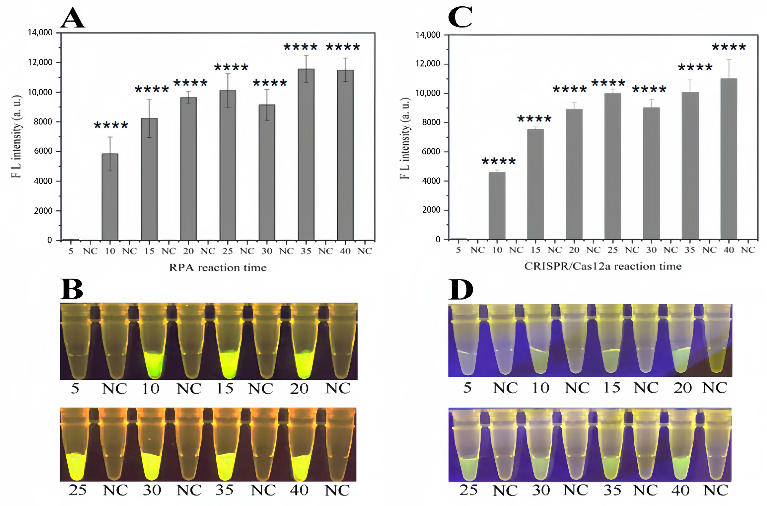 Forests 15 00772 g004