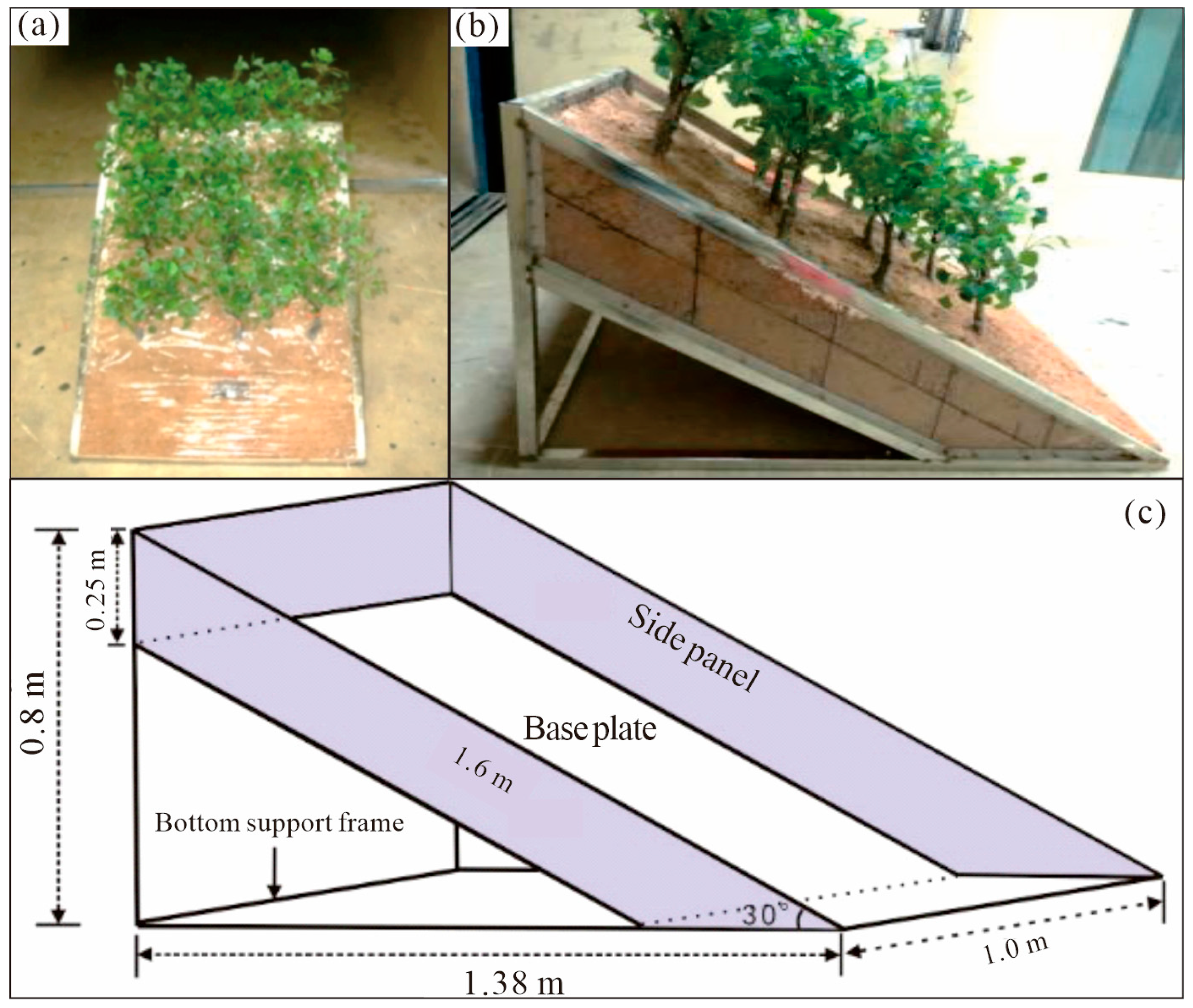 Forests 15 00791 g003