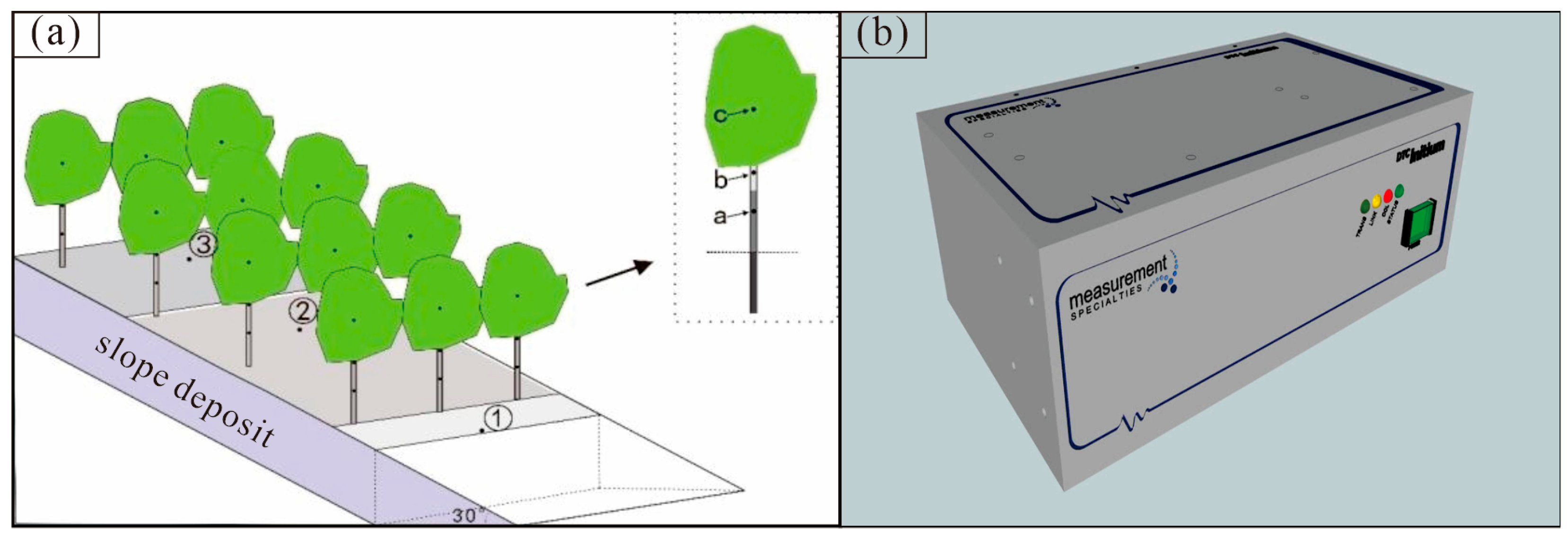 Forests 15 00791 g004