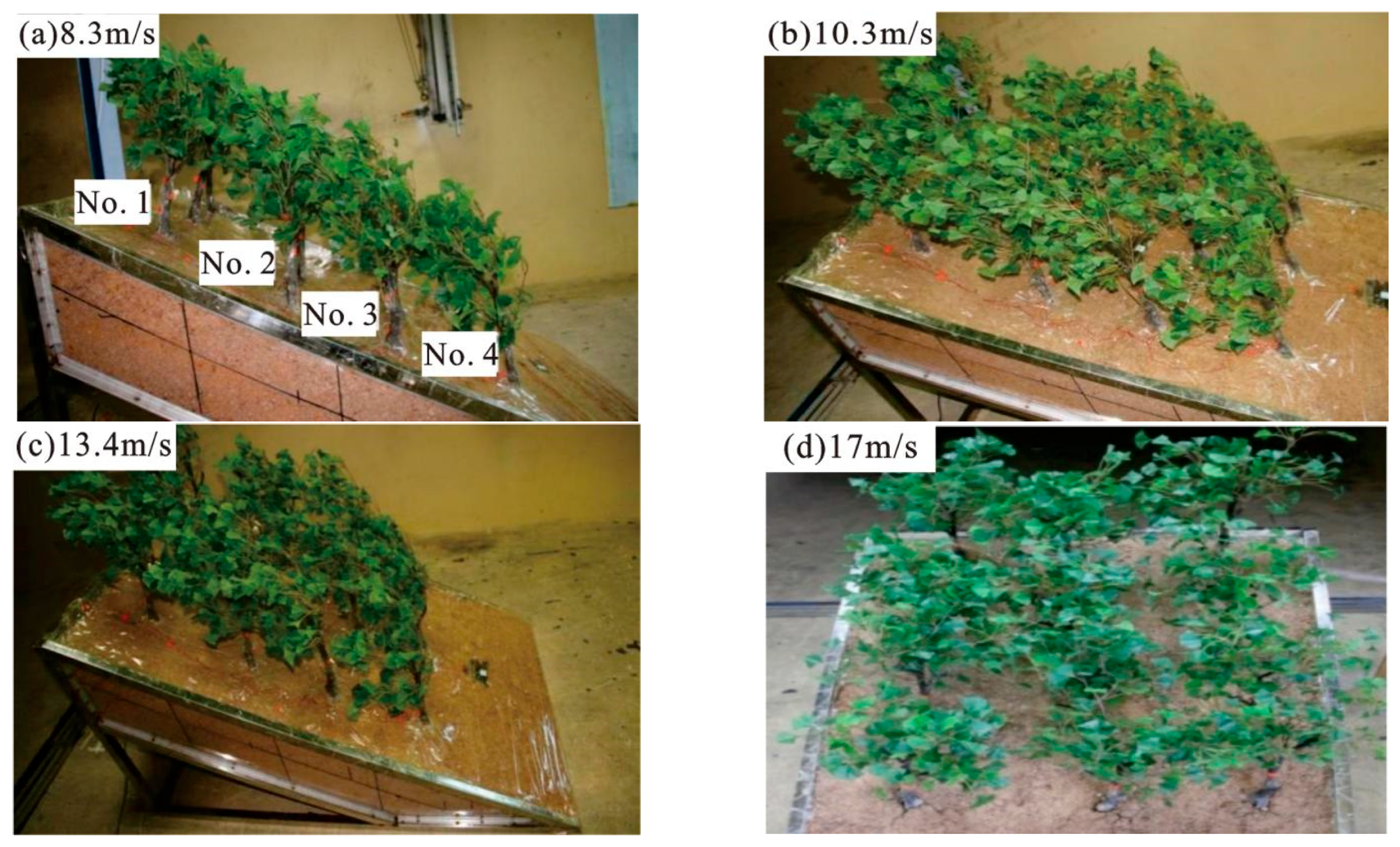 Forests 15 00791 g007