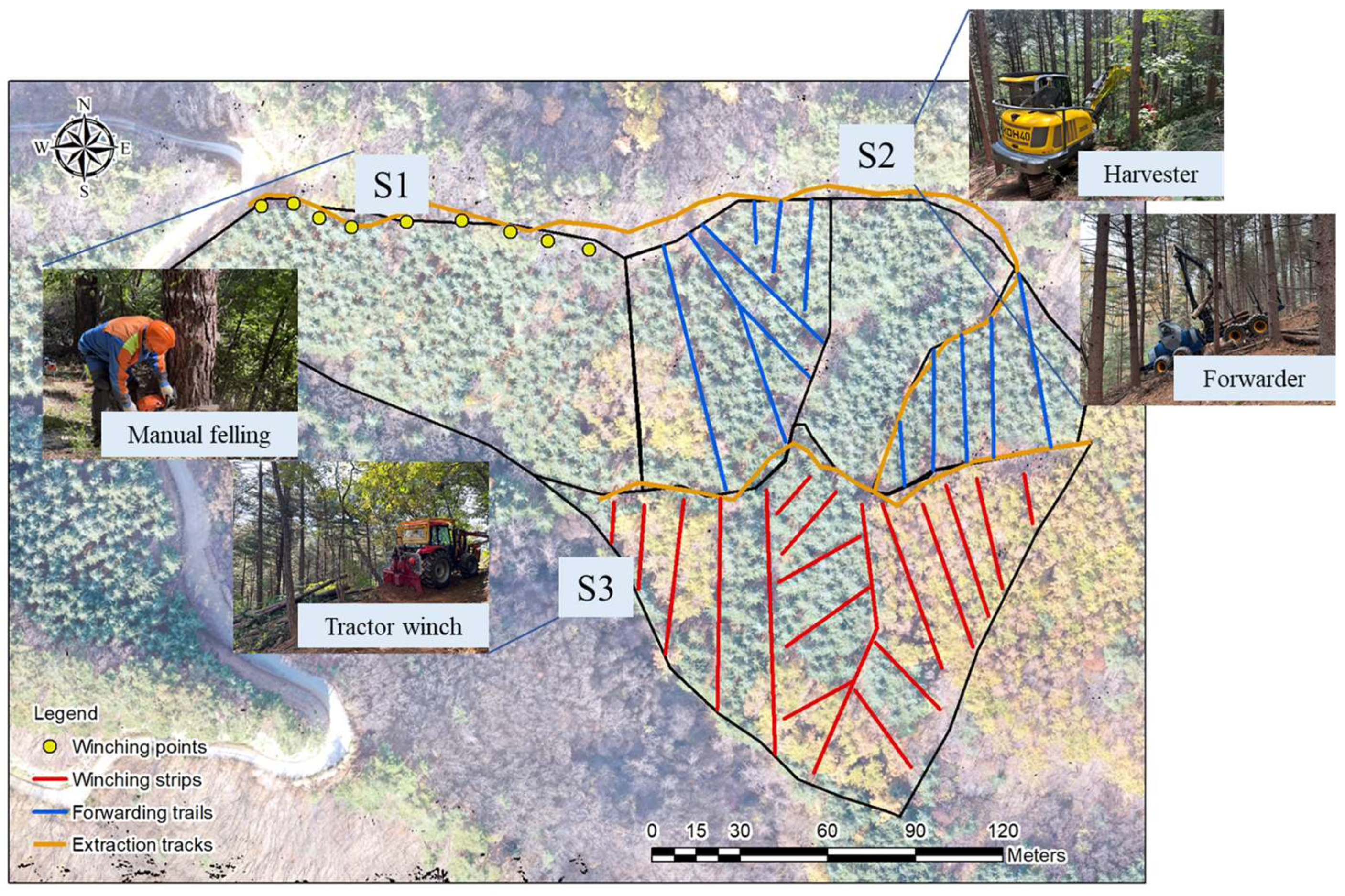 Forests 15 00794 g001