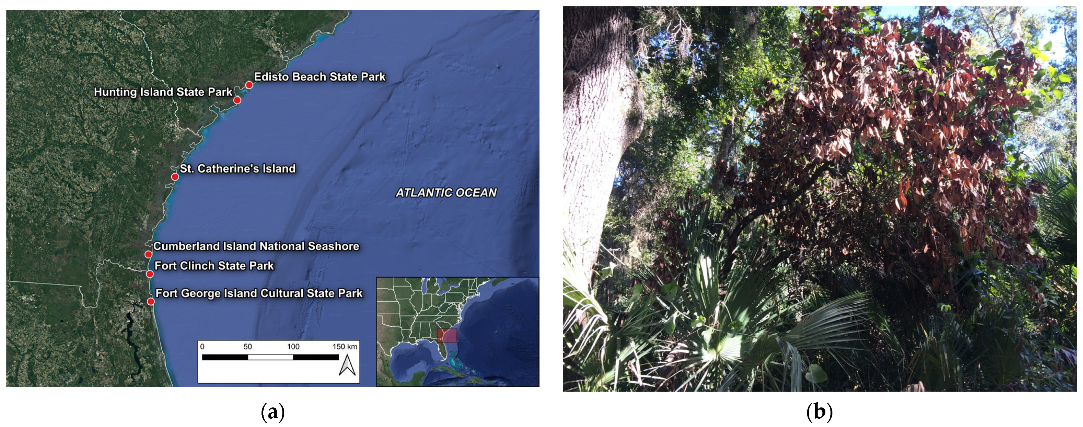 Forests 15 00817 g003