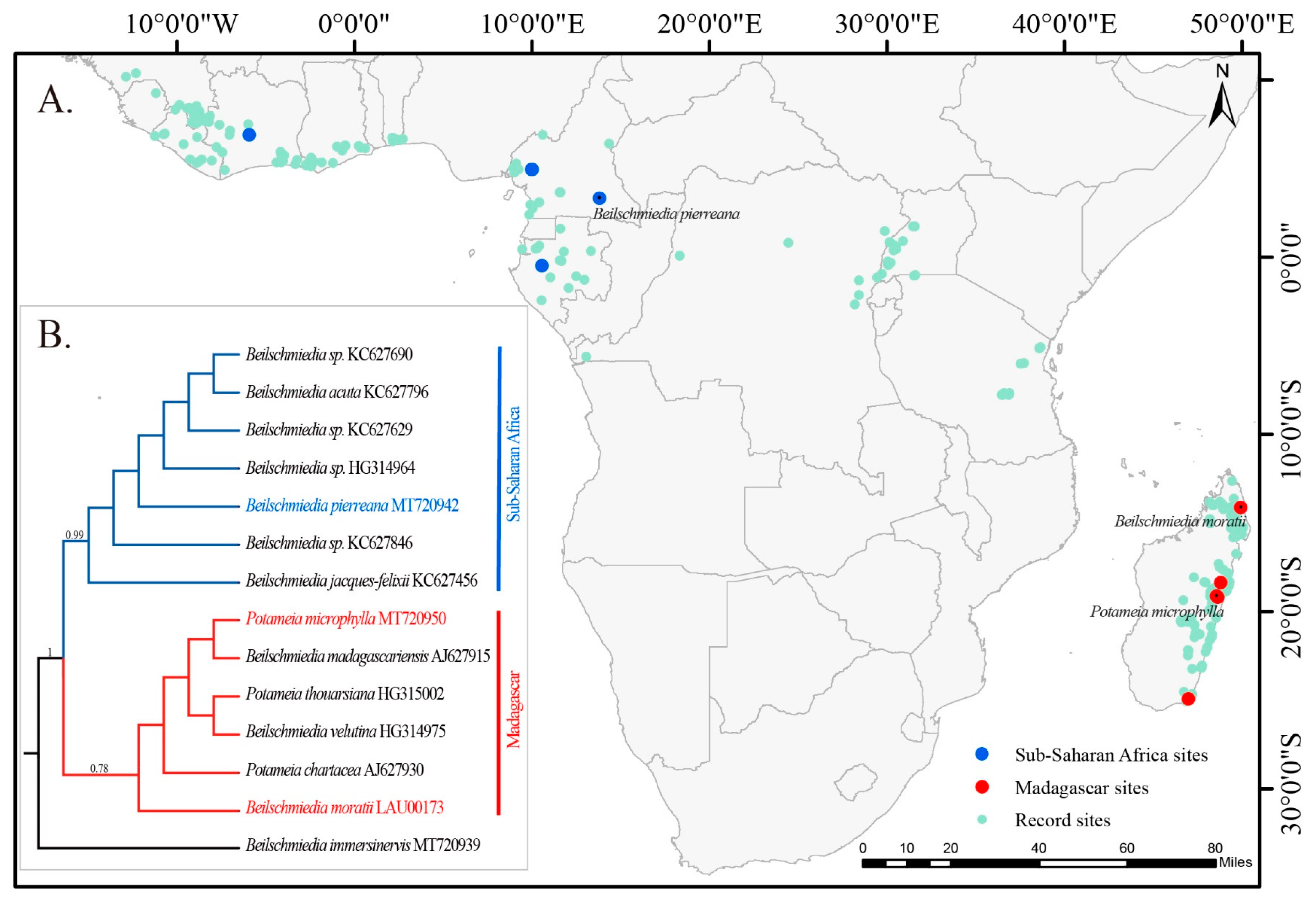 Forests 15 00832 g001