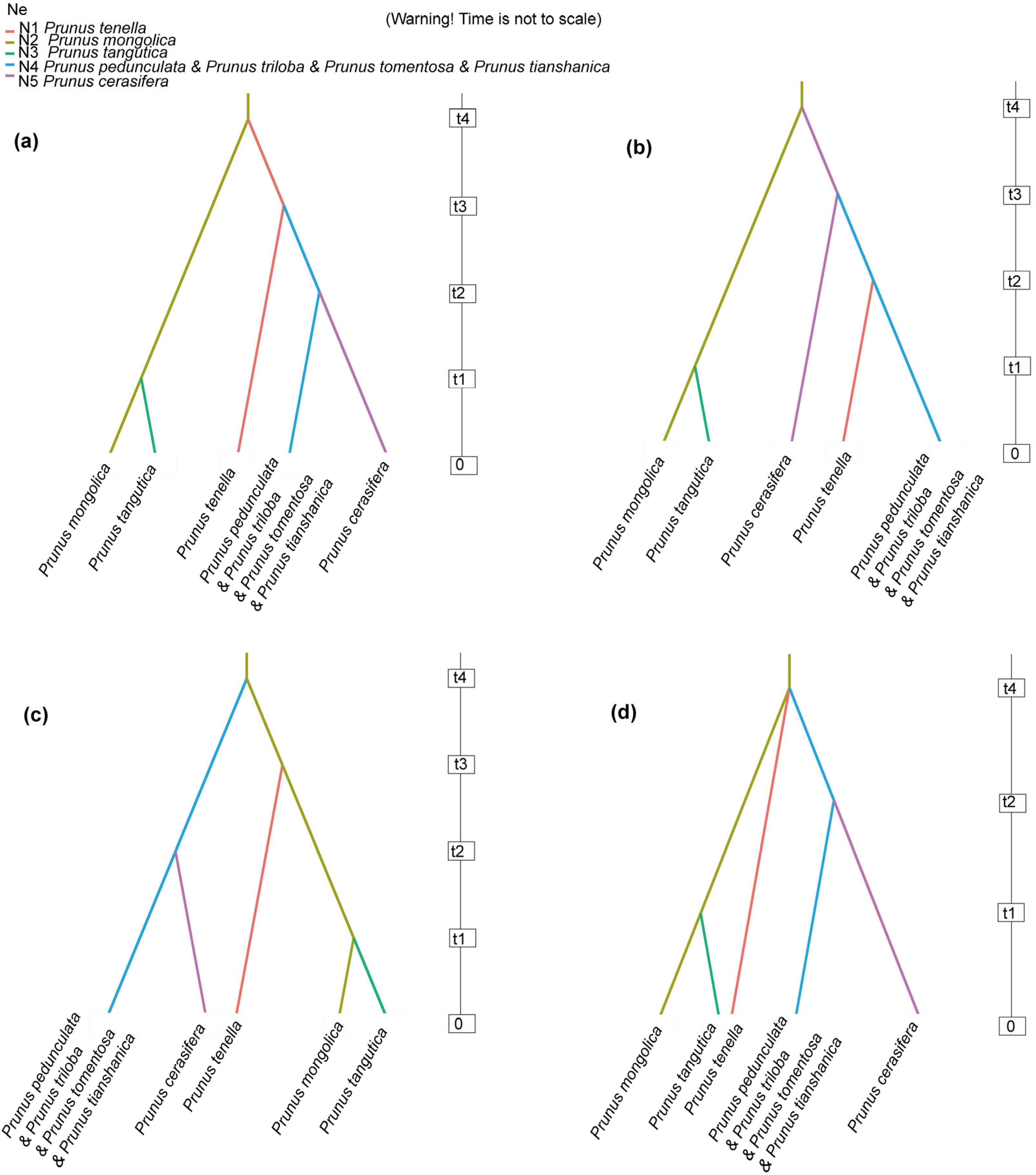 Forests 15 00834 g004