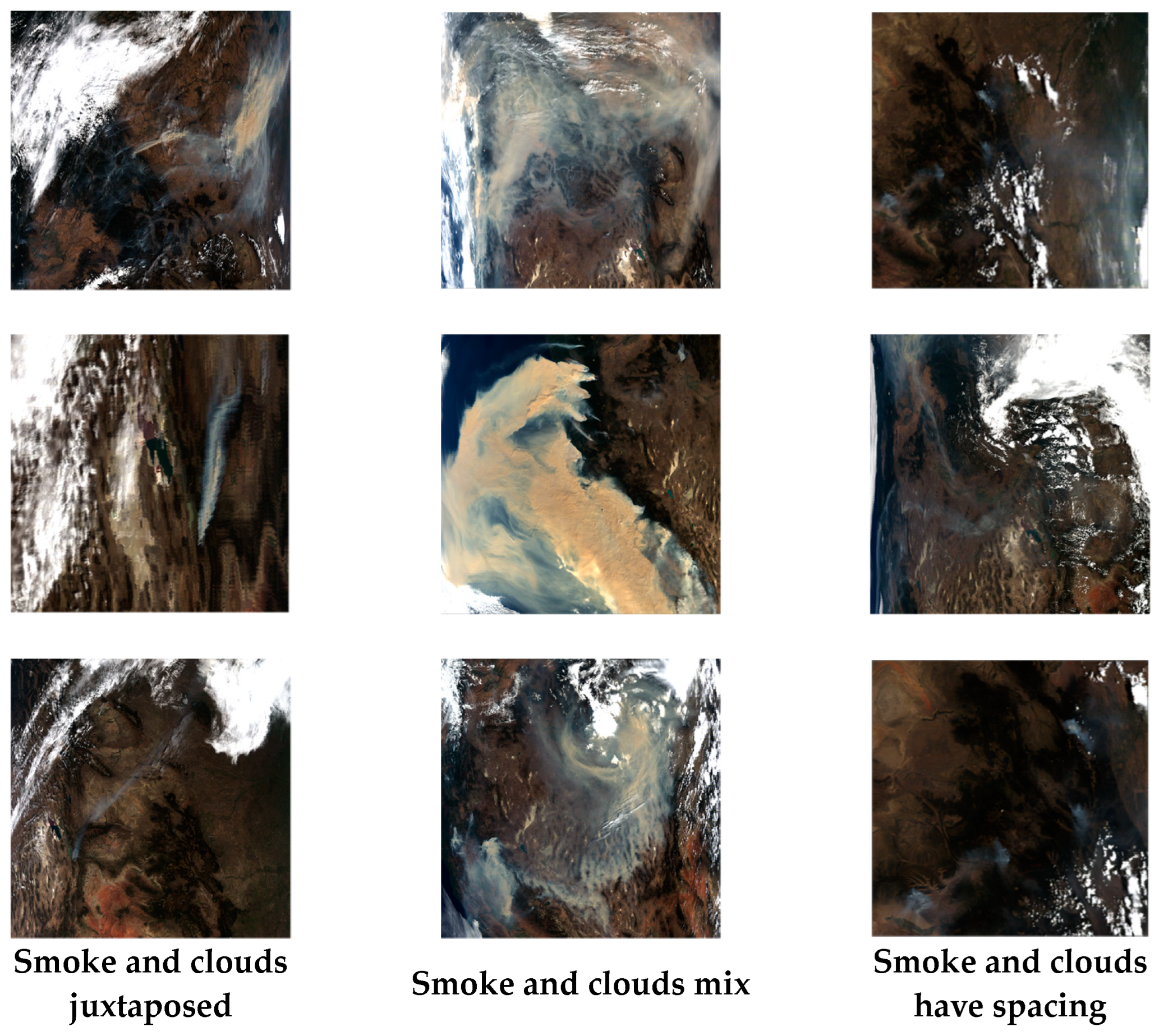 Forests 15 00839 g002