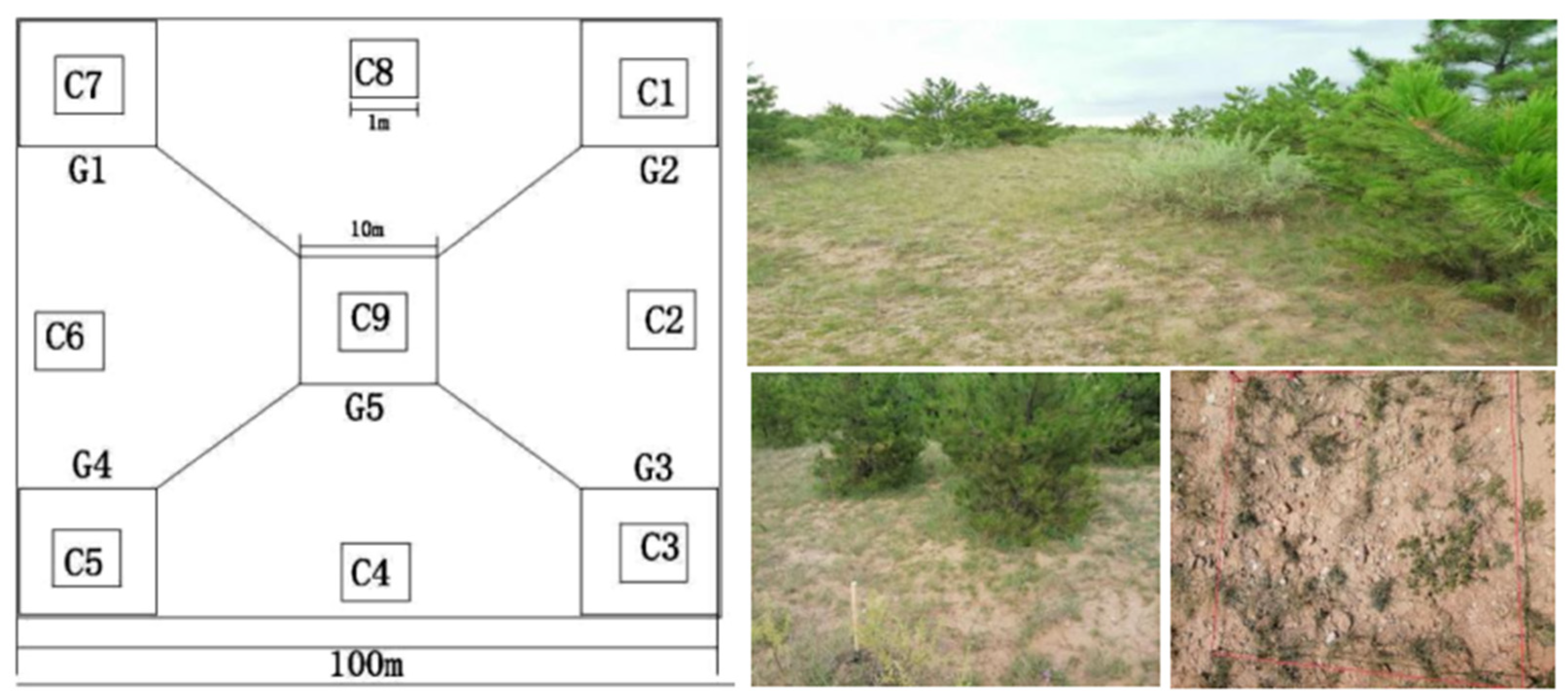 Forests 15 00841 g002