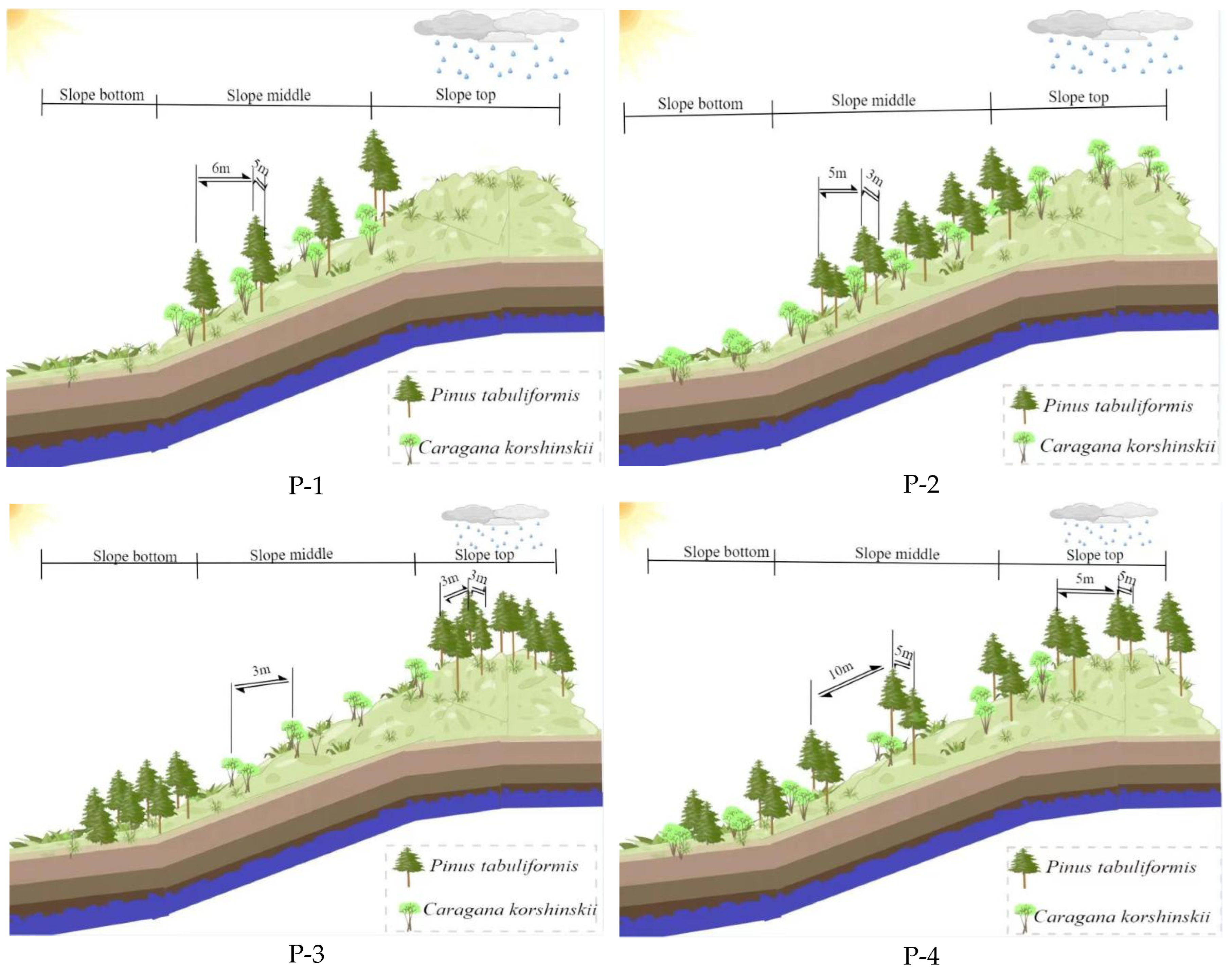 Forests 15 00841 g008