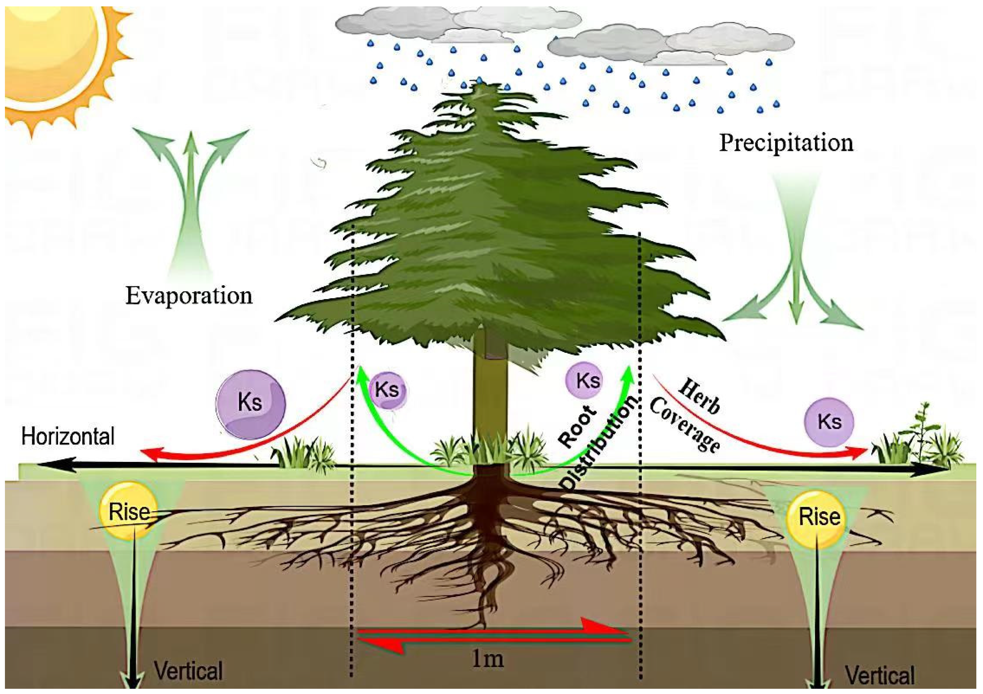 Forests 15 00841 g015