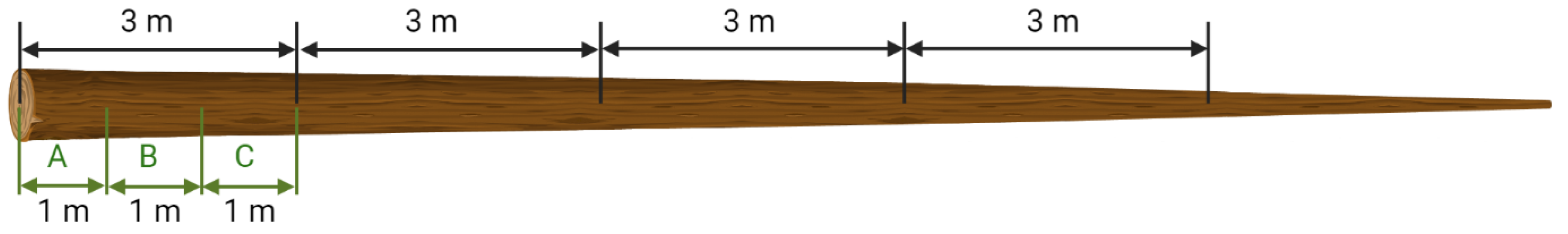 Forests 15 00845 g001