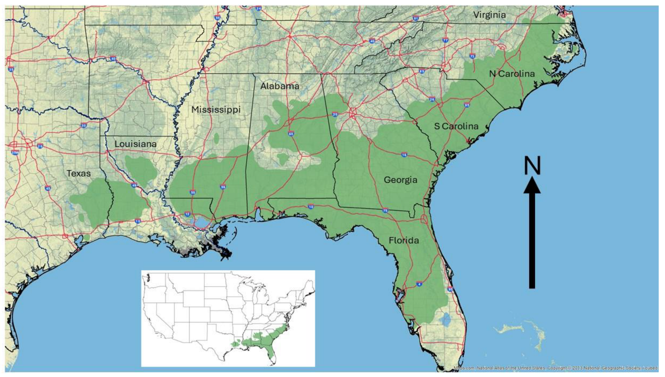 Forests 15 00855 g001