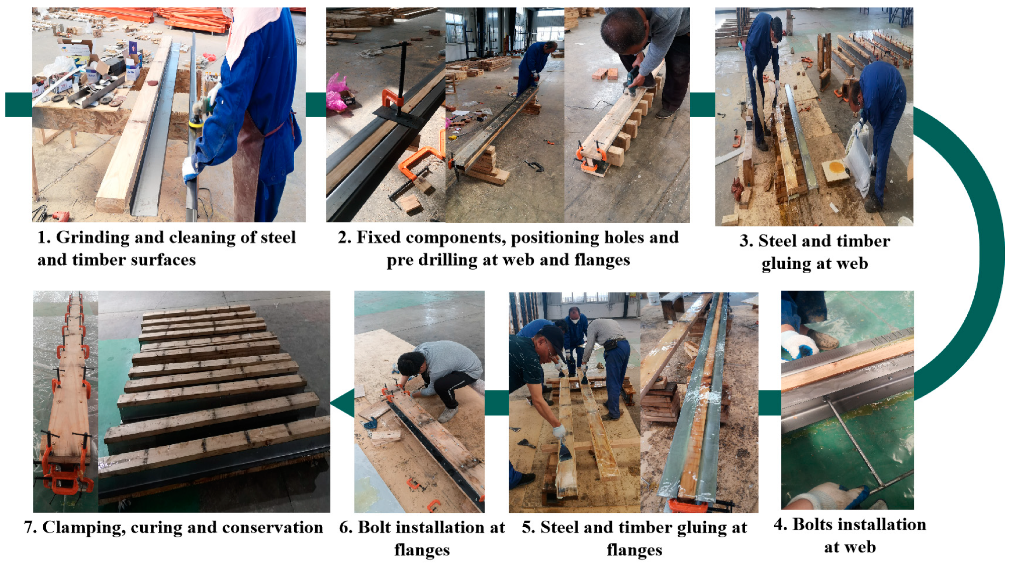 Forests 15 00857 g001