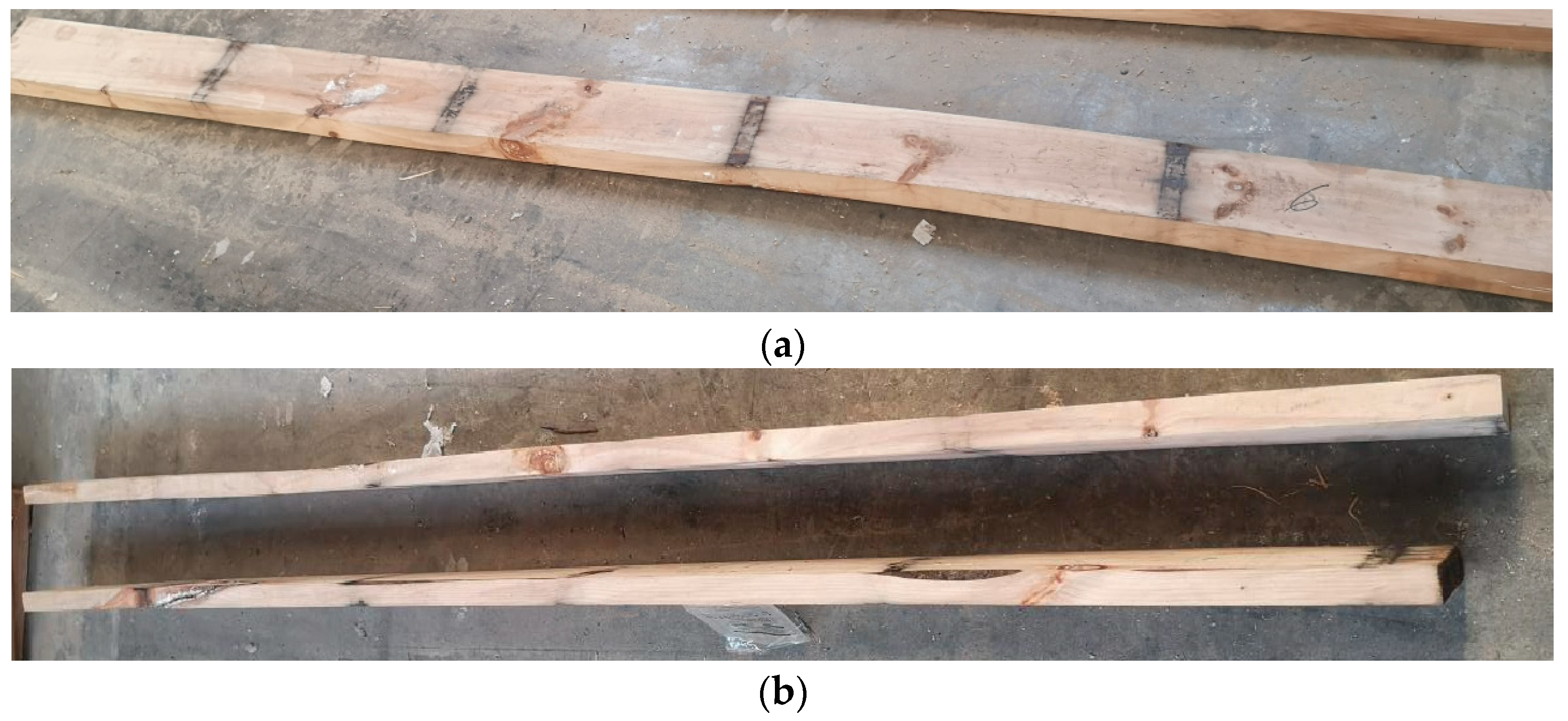 Forests 15 00857 g006a