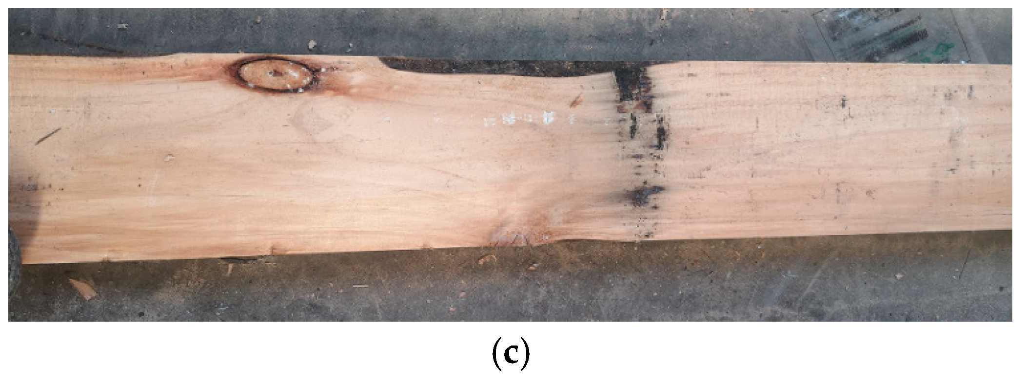 Forests 15 00857 g006b
