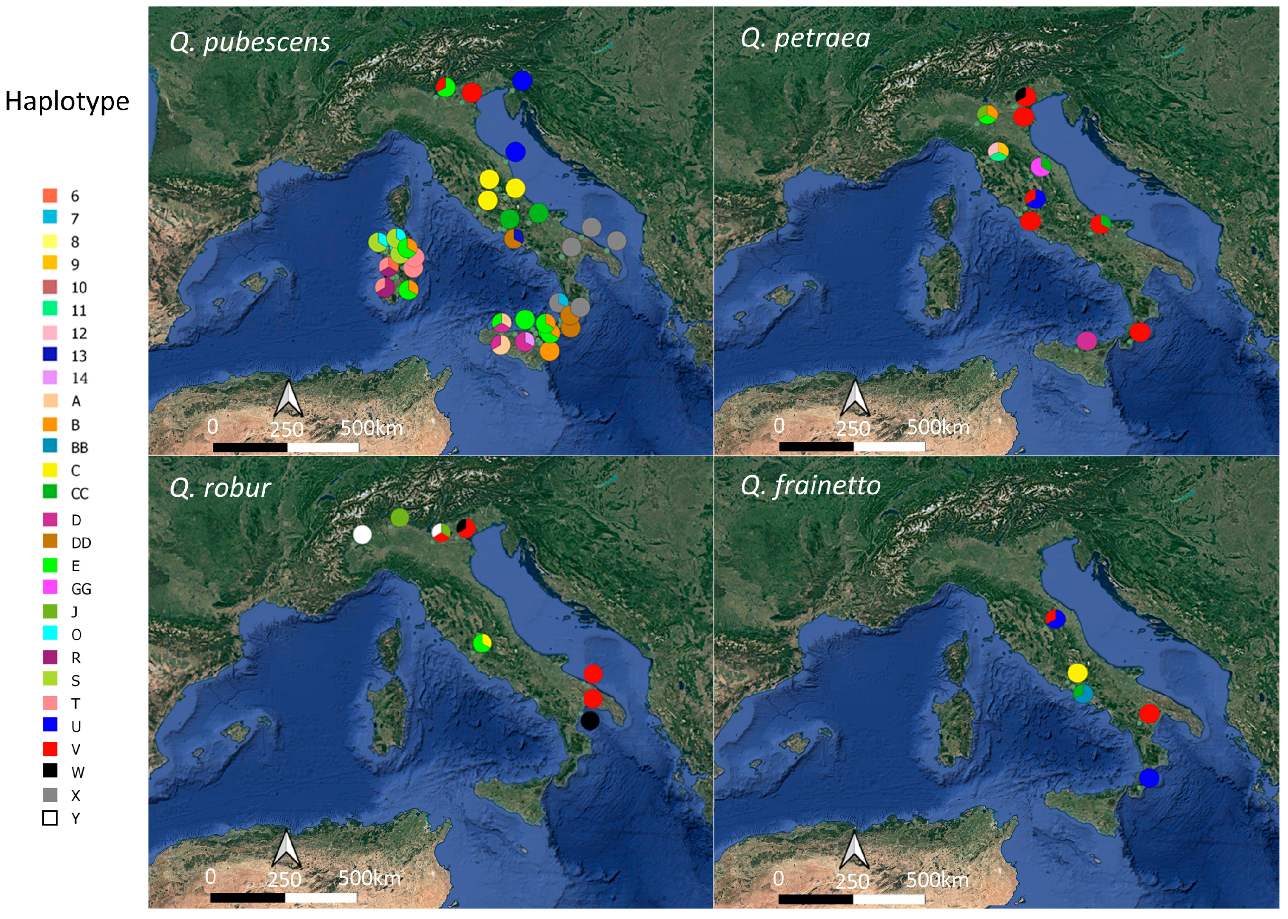 Forests 15 00864 g003