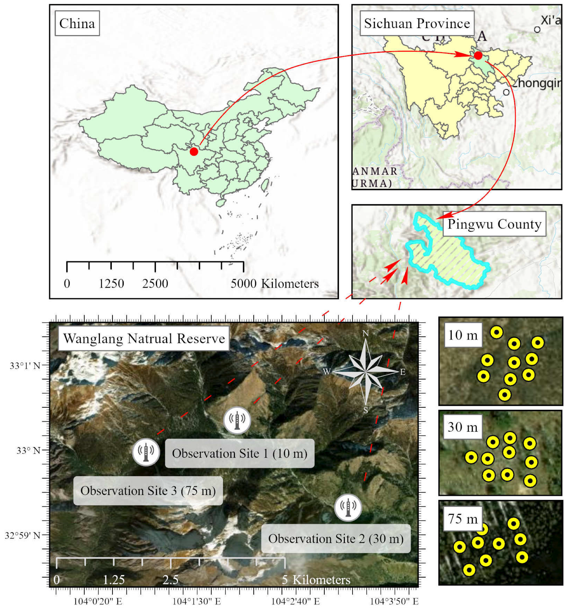 Forests 15 00868 g001