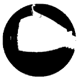 Forests 15 00876 i003