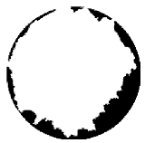 Forests 15 00876 i005