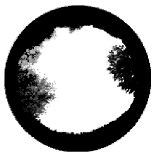 Forests 15 00876 i008