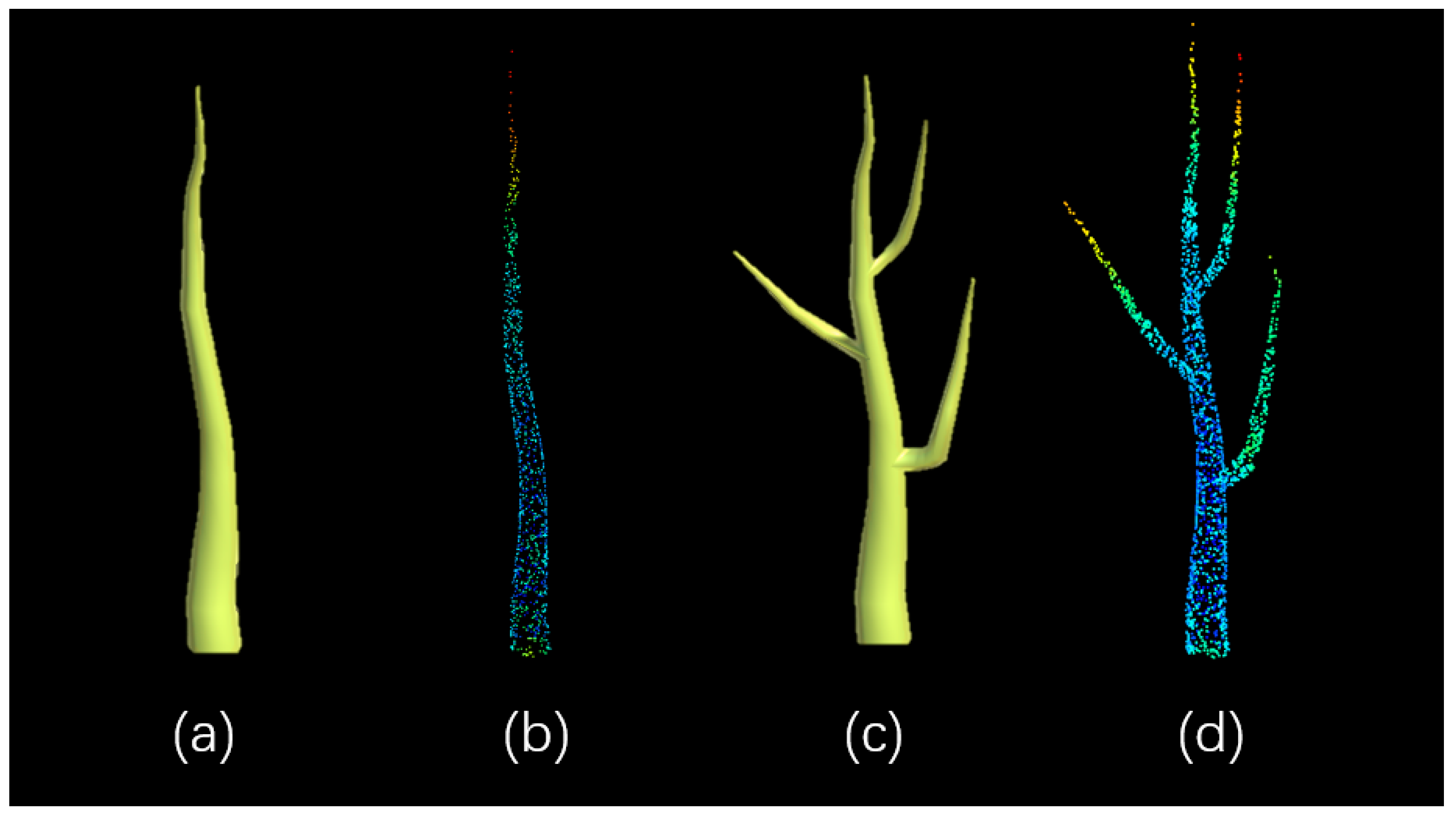 Forests 15 00880 g003