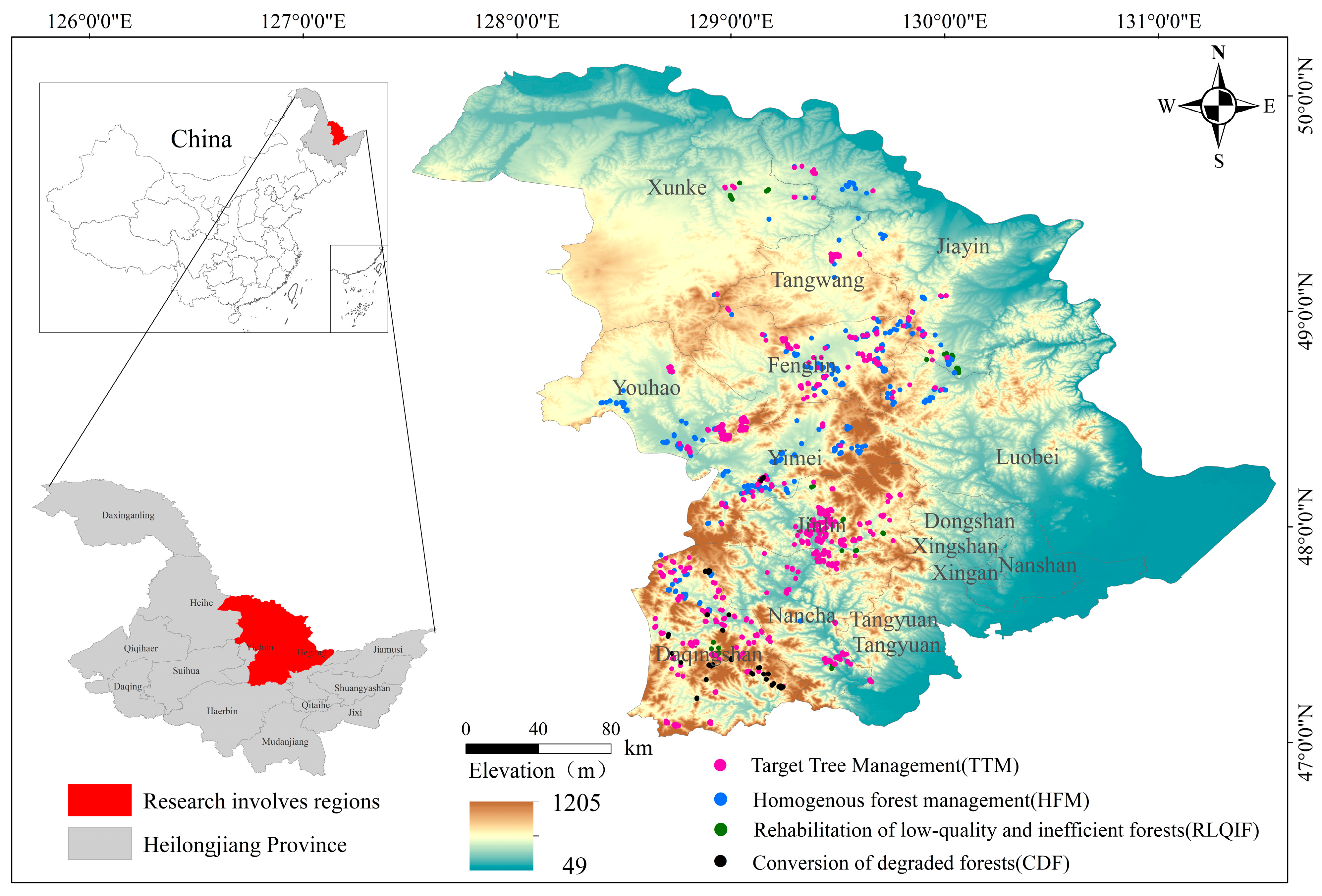 Forests 15 00887 g001