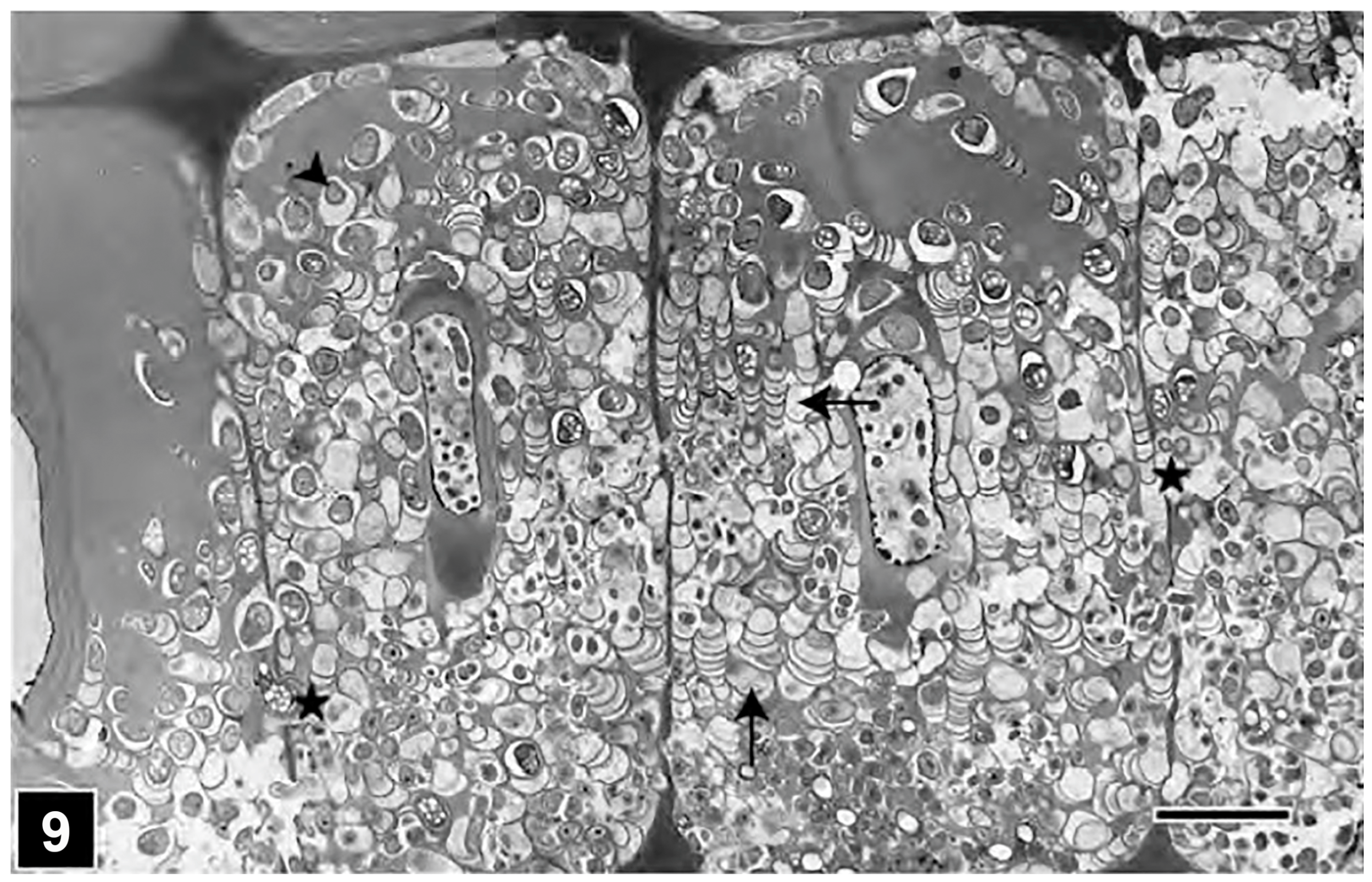 Forests 15 00889 g009