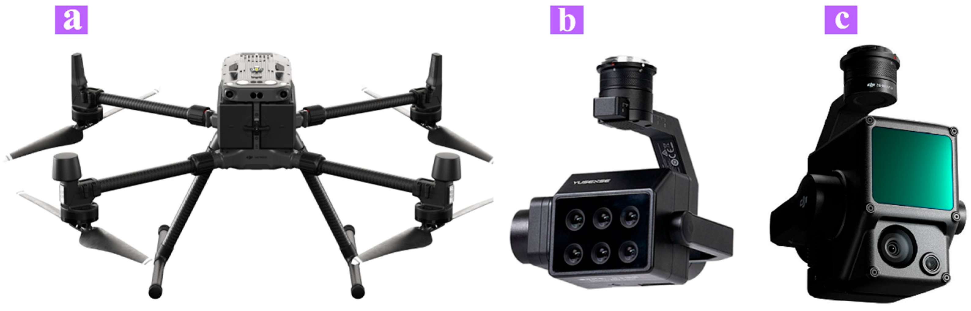 Forests 15 00891 g002