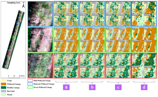 Forests 15 00891 g011