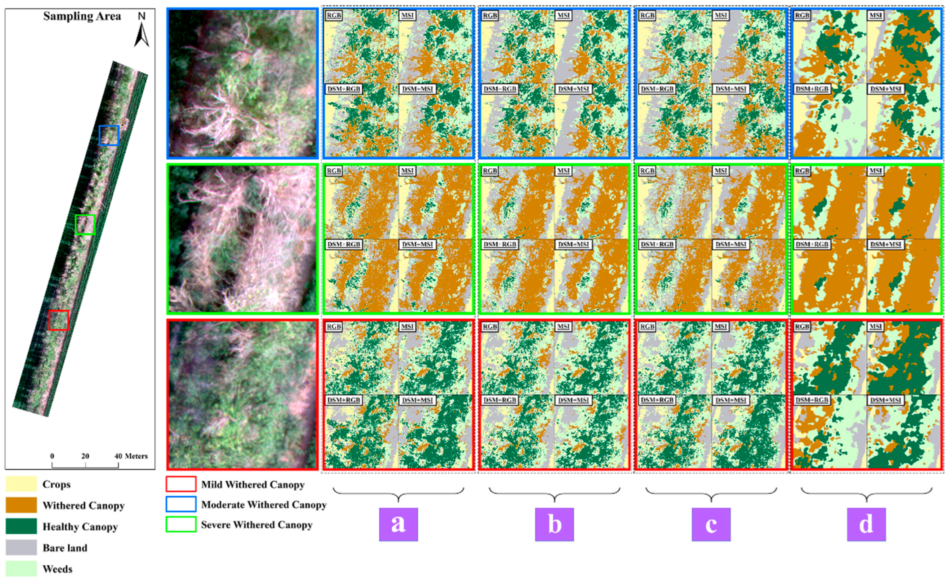 Forests 15 00891 g011