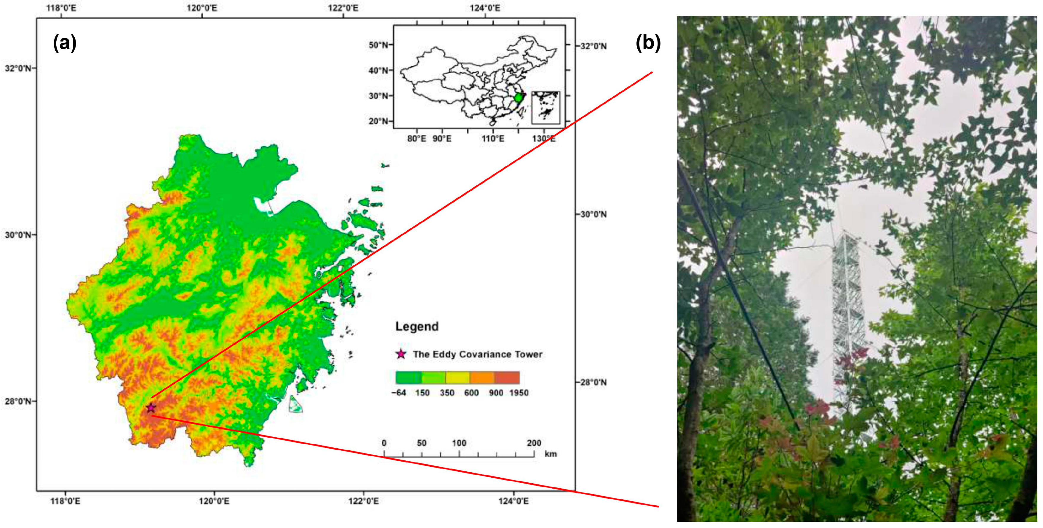 Forests 15 00901 g001