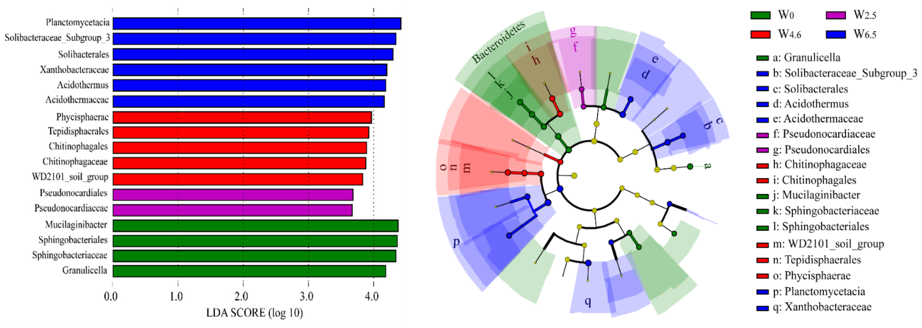 Forests 15 00908 g004