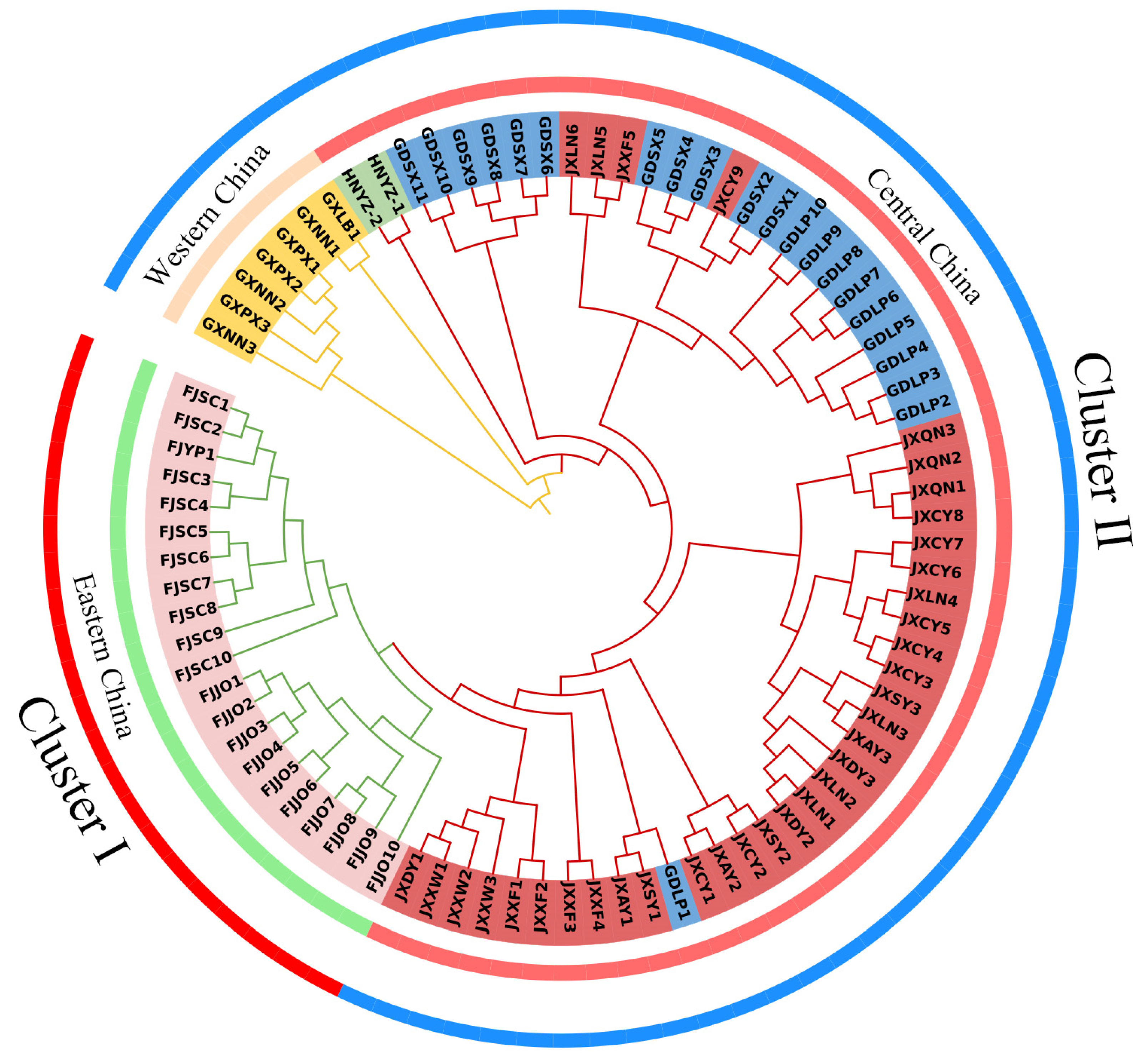 Forests 15 00910 g002
