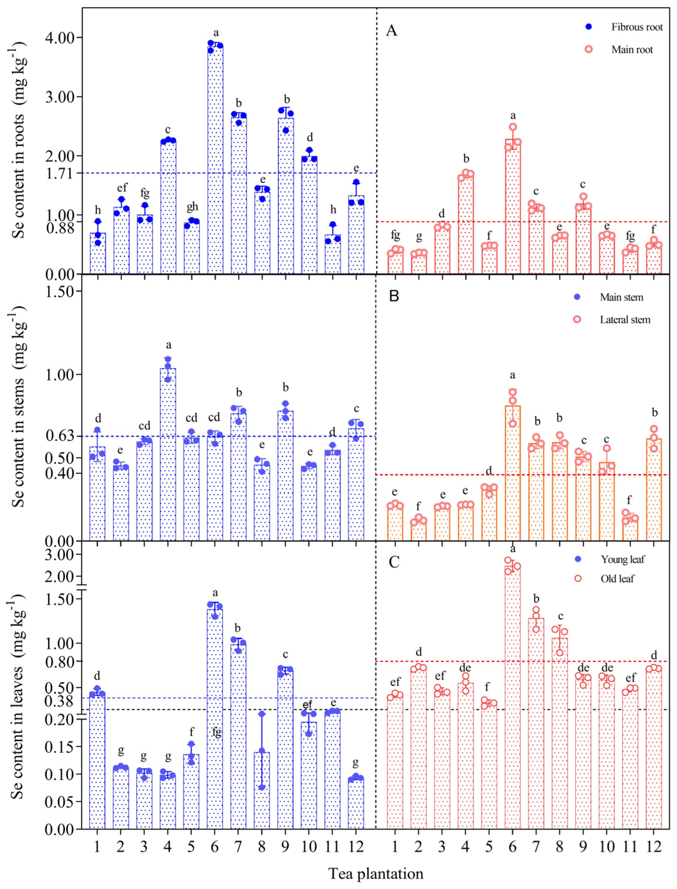 Forests 15 00914 g003