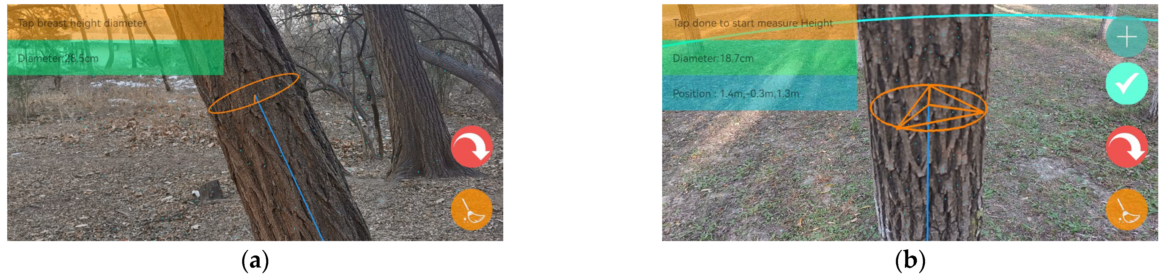 Forests 15 00939 g004