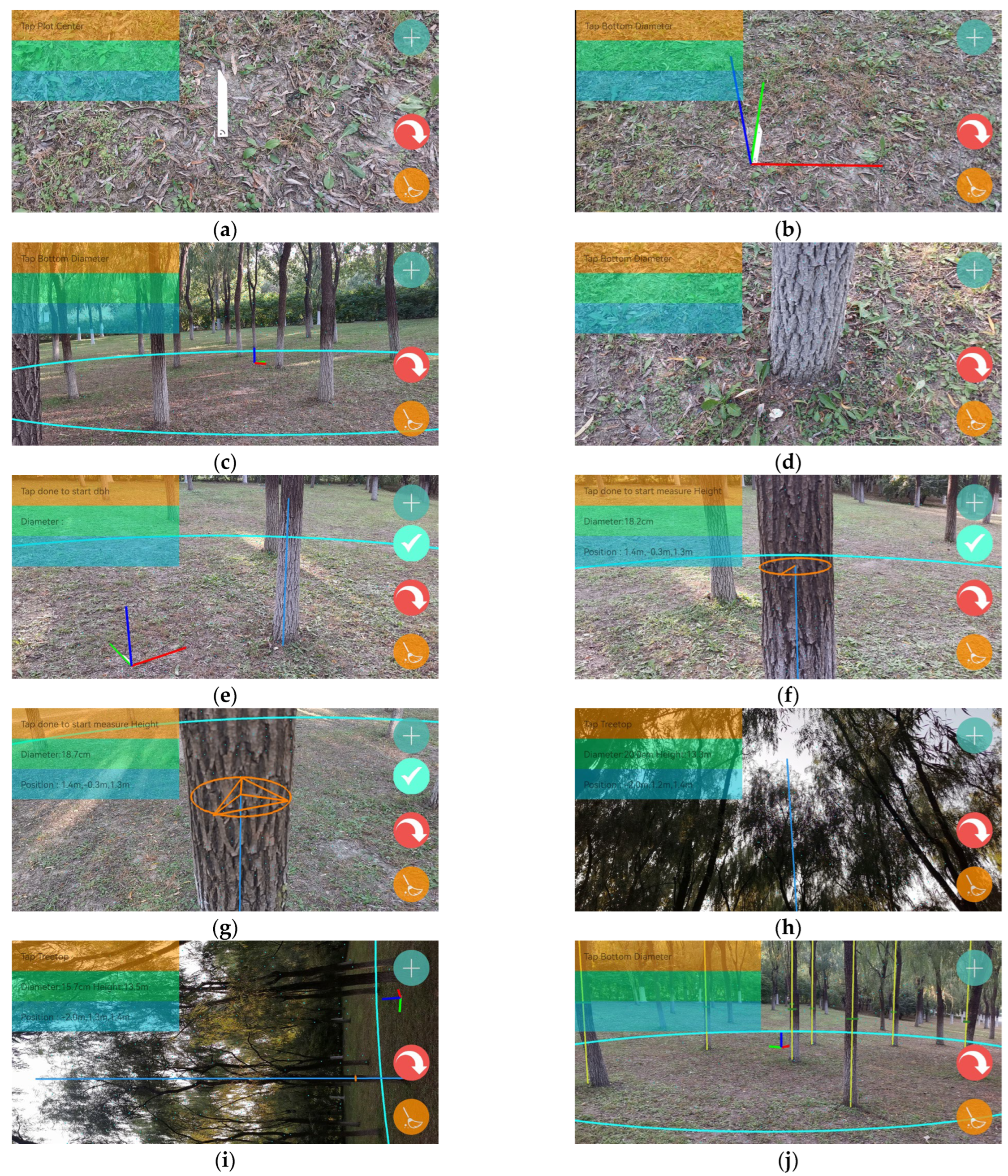 Forests 15 00939 g009