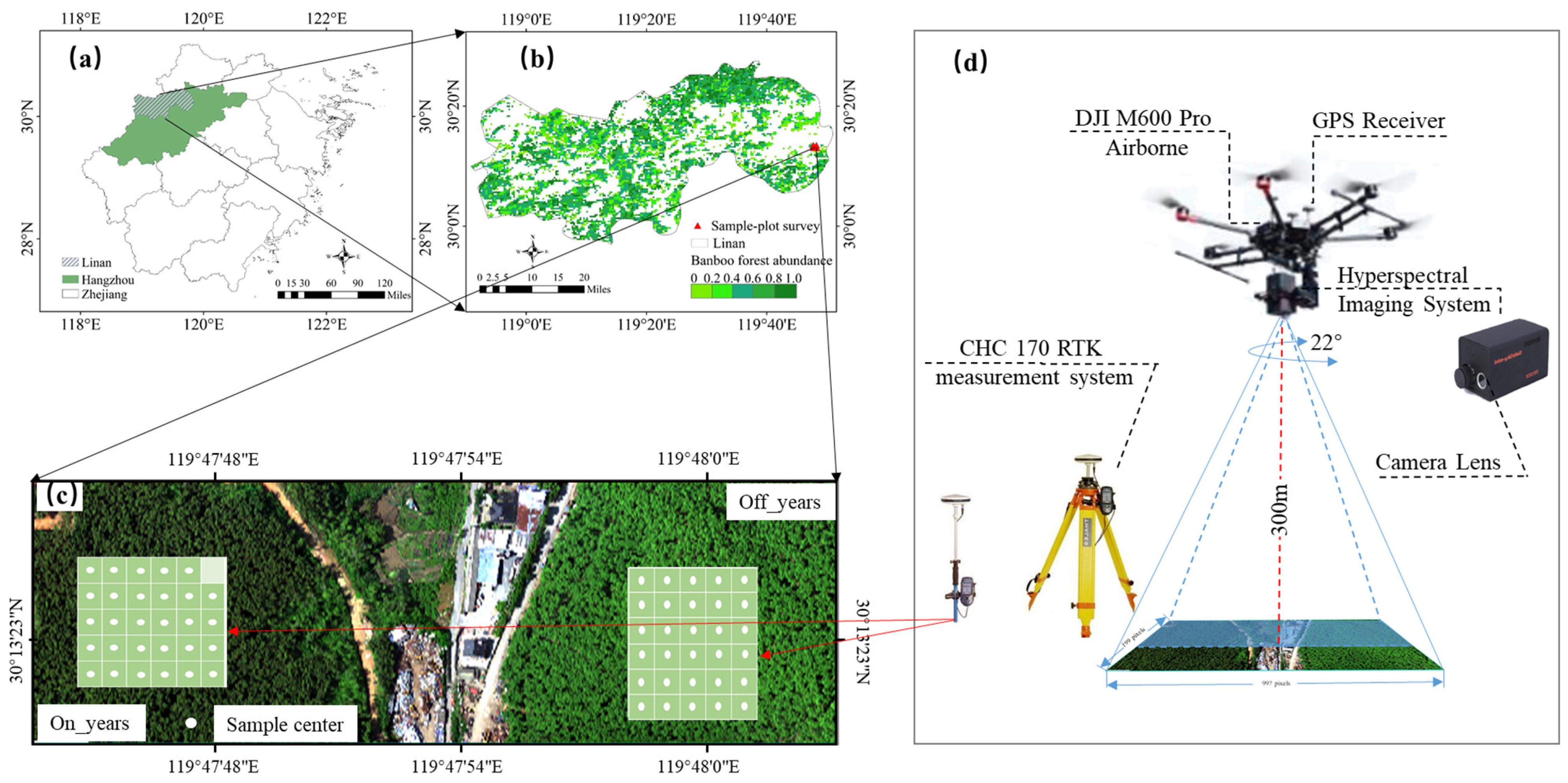 Forests 15 00946 g001
