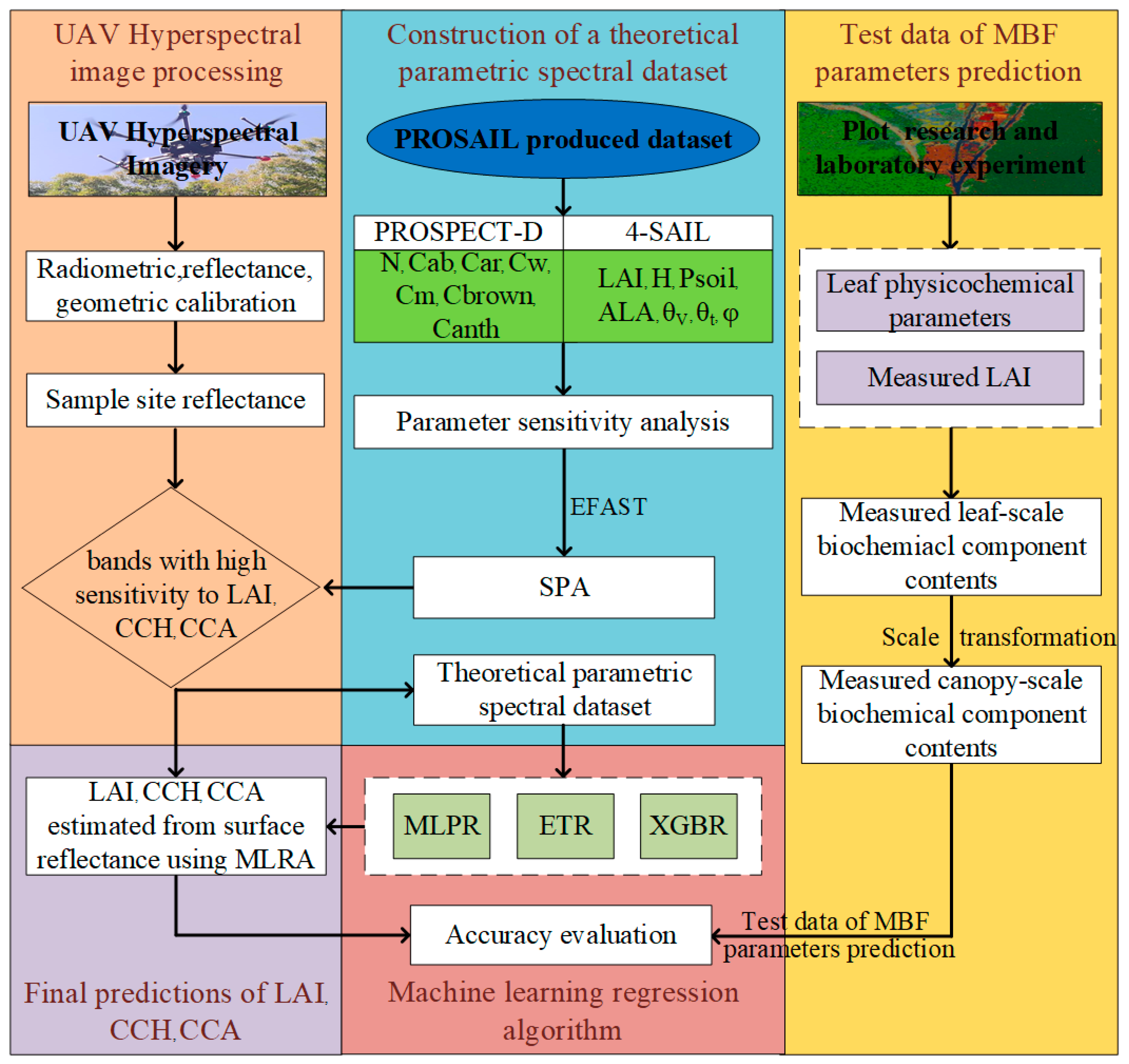 Forests 15 00946 g002