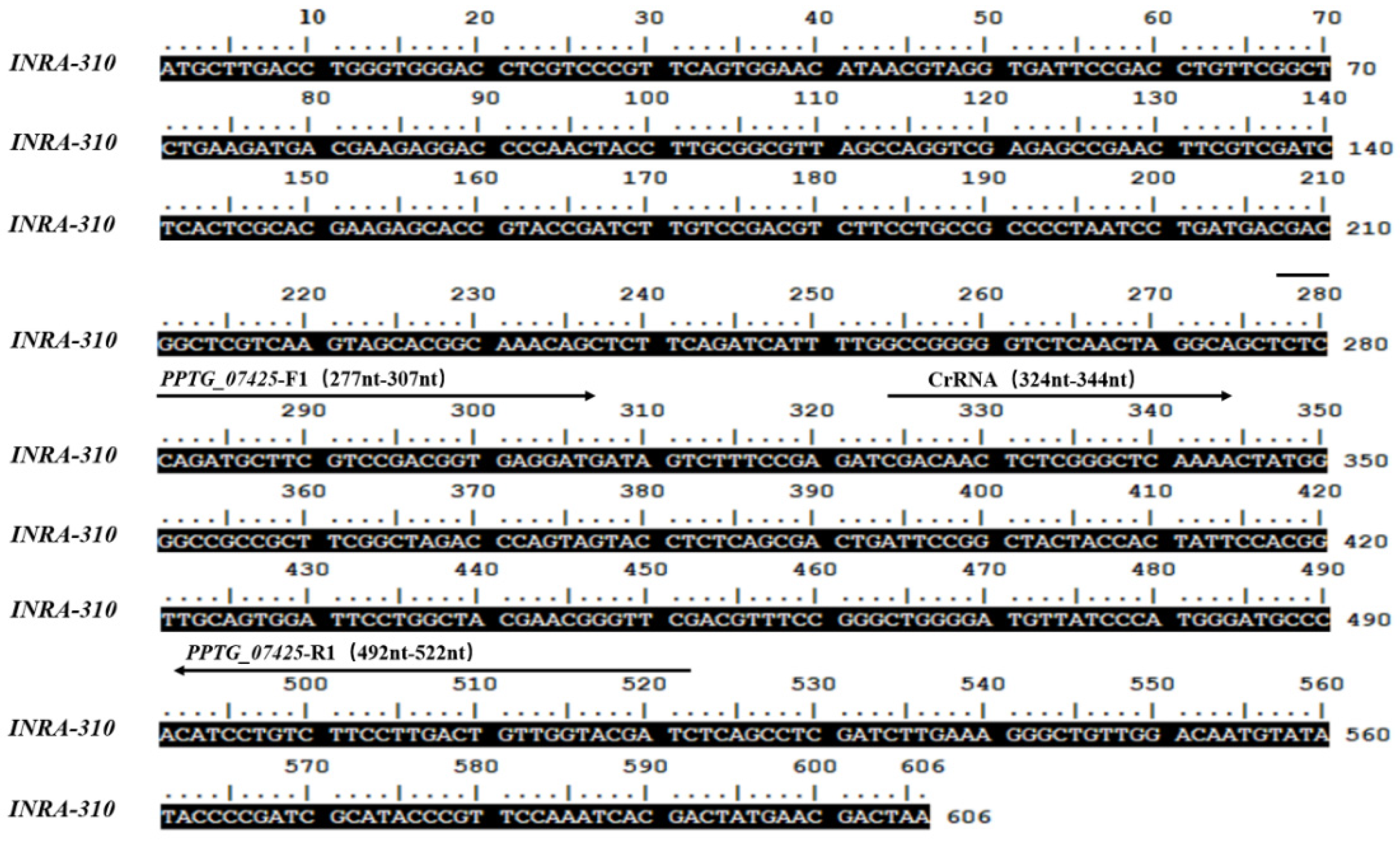 Forests 15 00952 g002