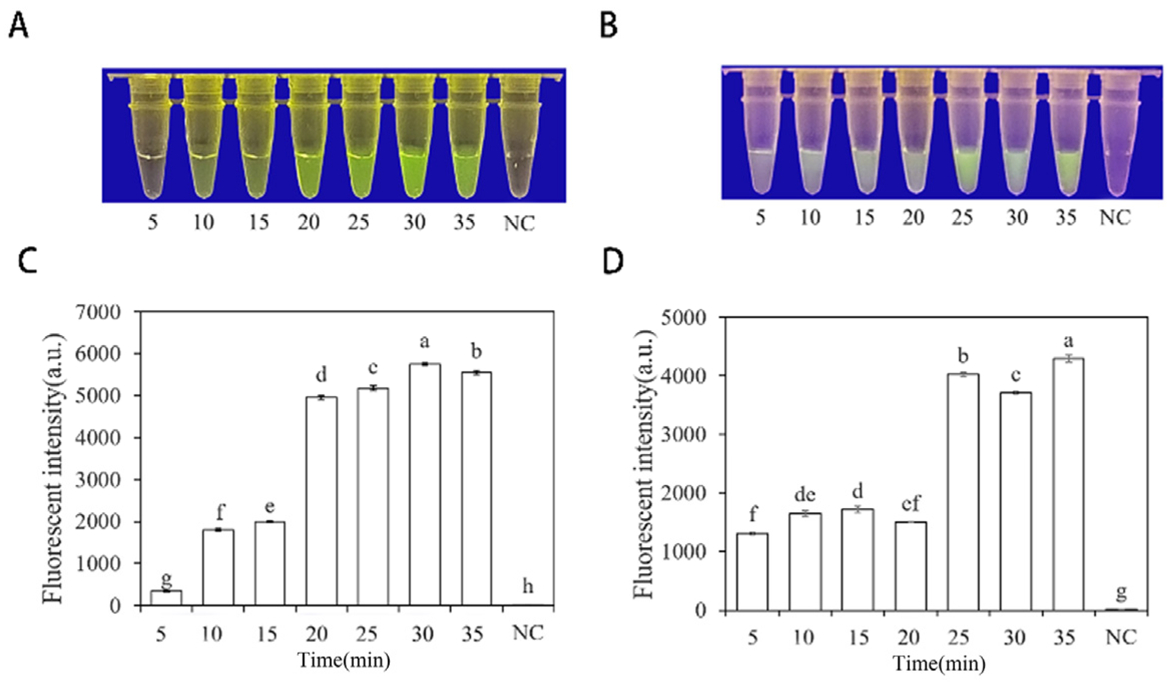 Forests 15 00952 g005