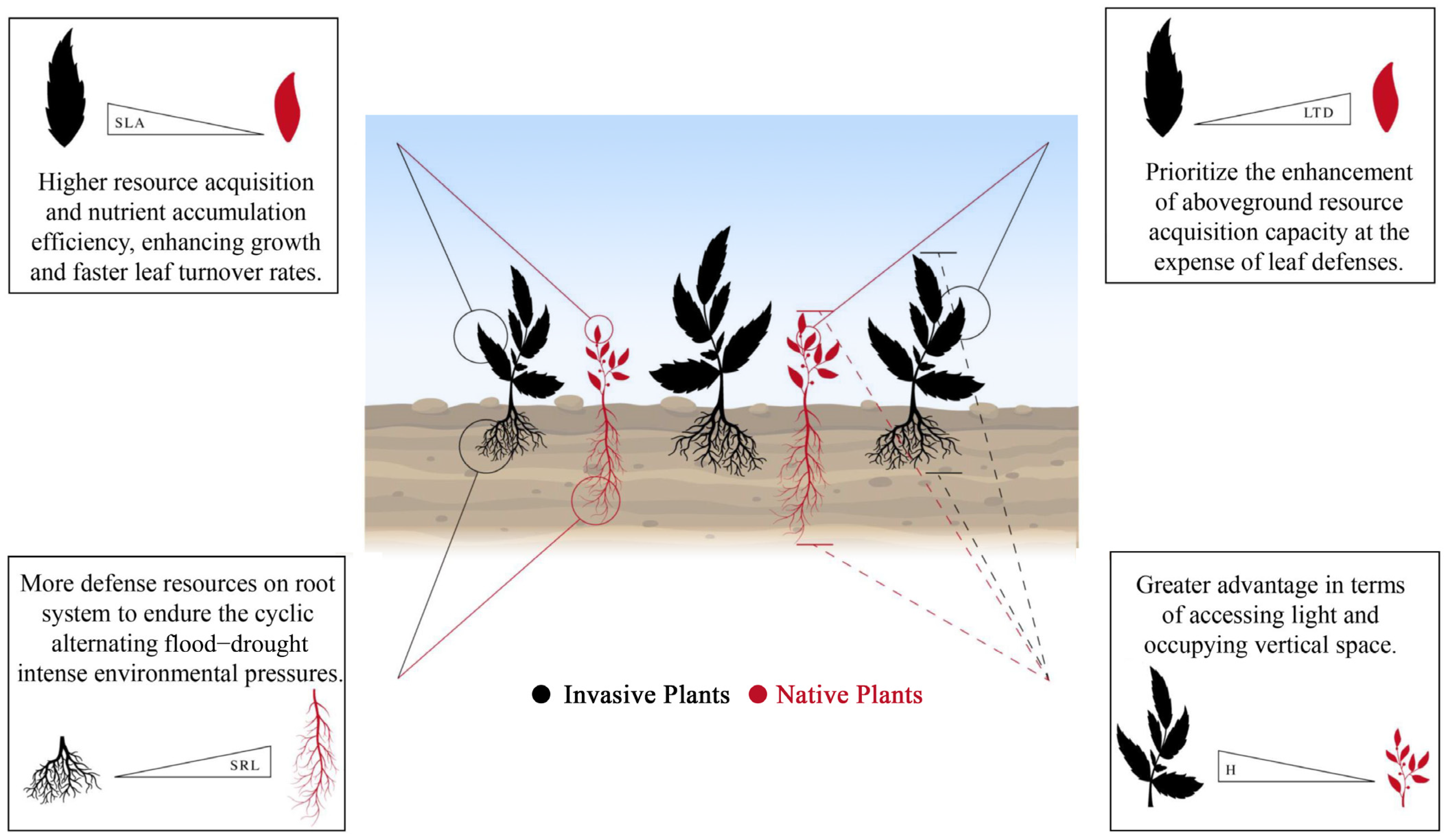 Forests 15 00959 g007