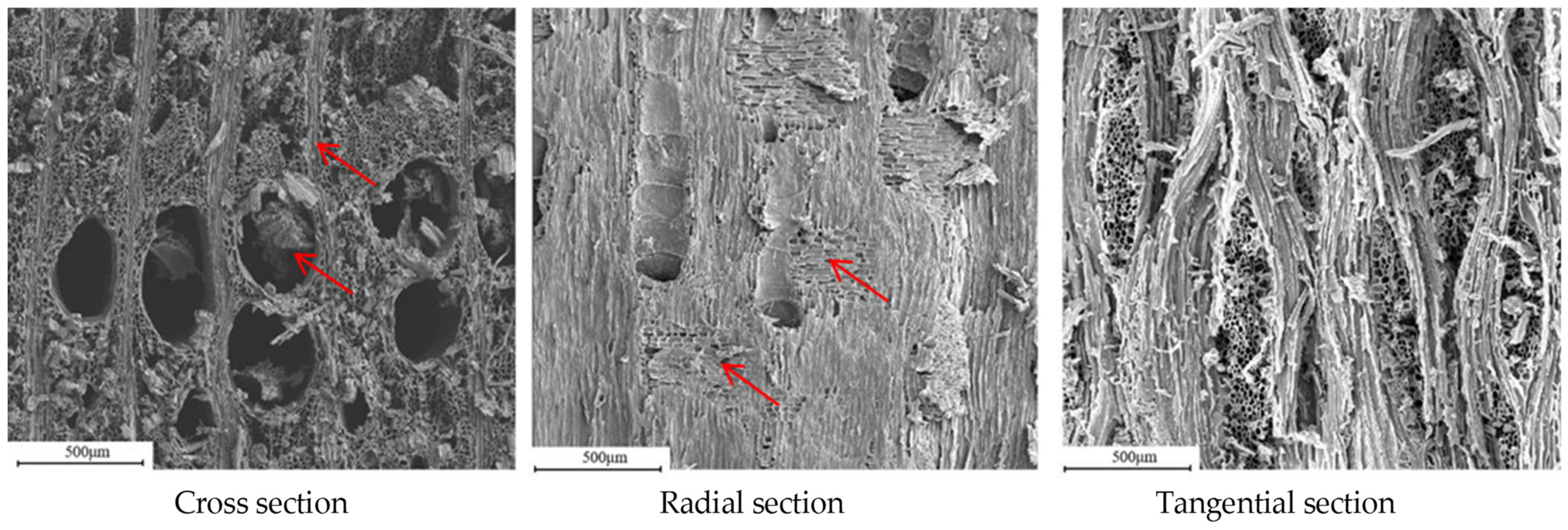 Forests 15 00963 g003