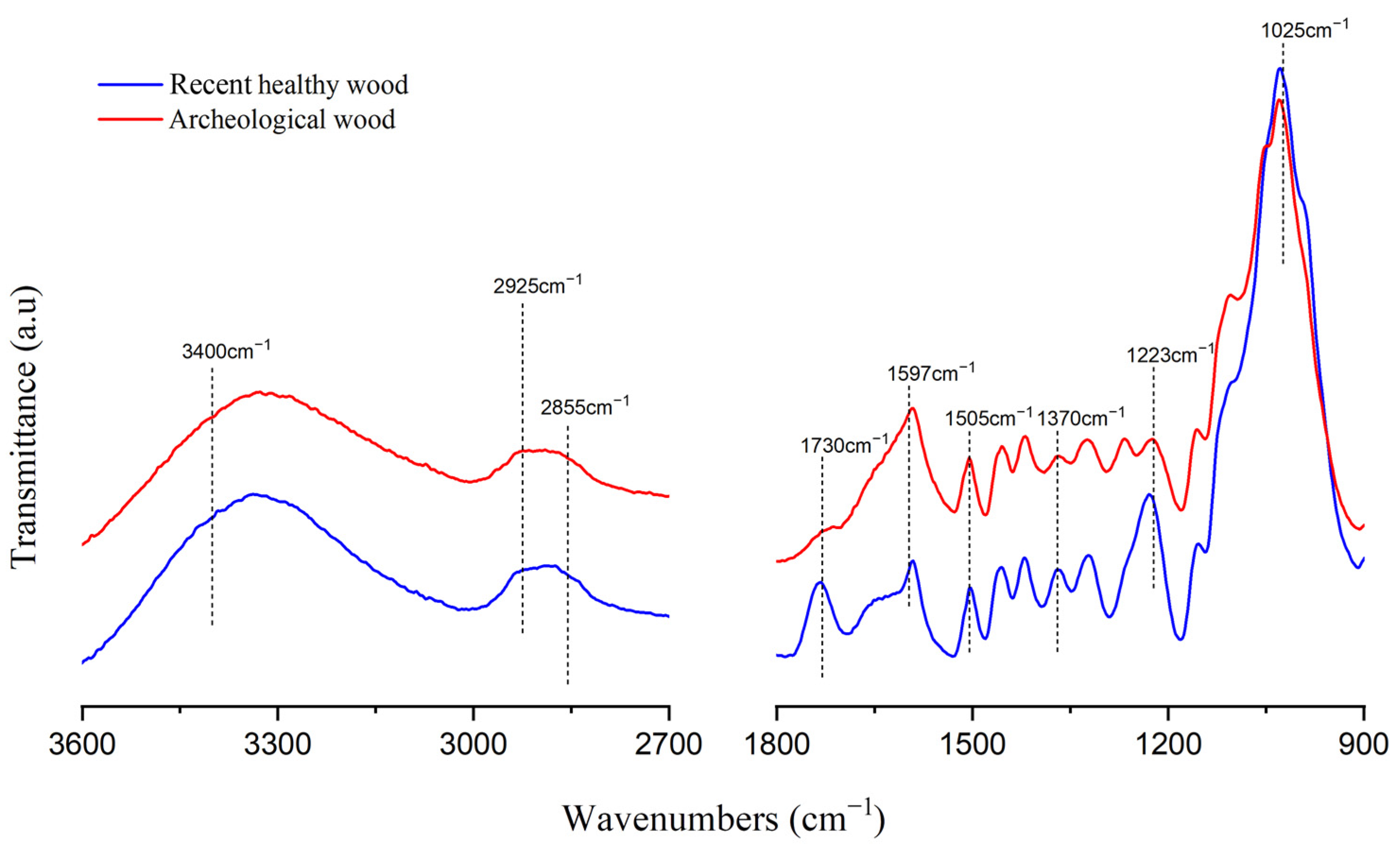 Forests 15 00963 g005