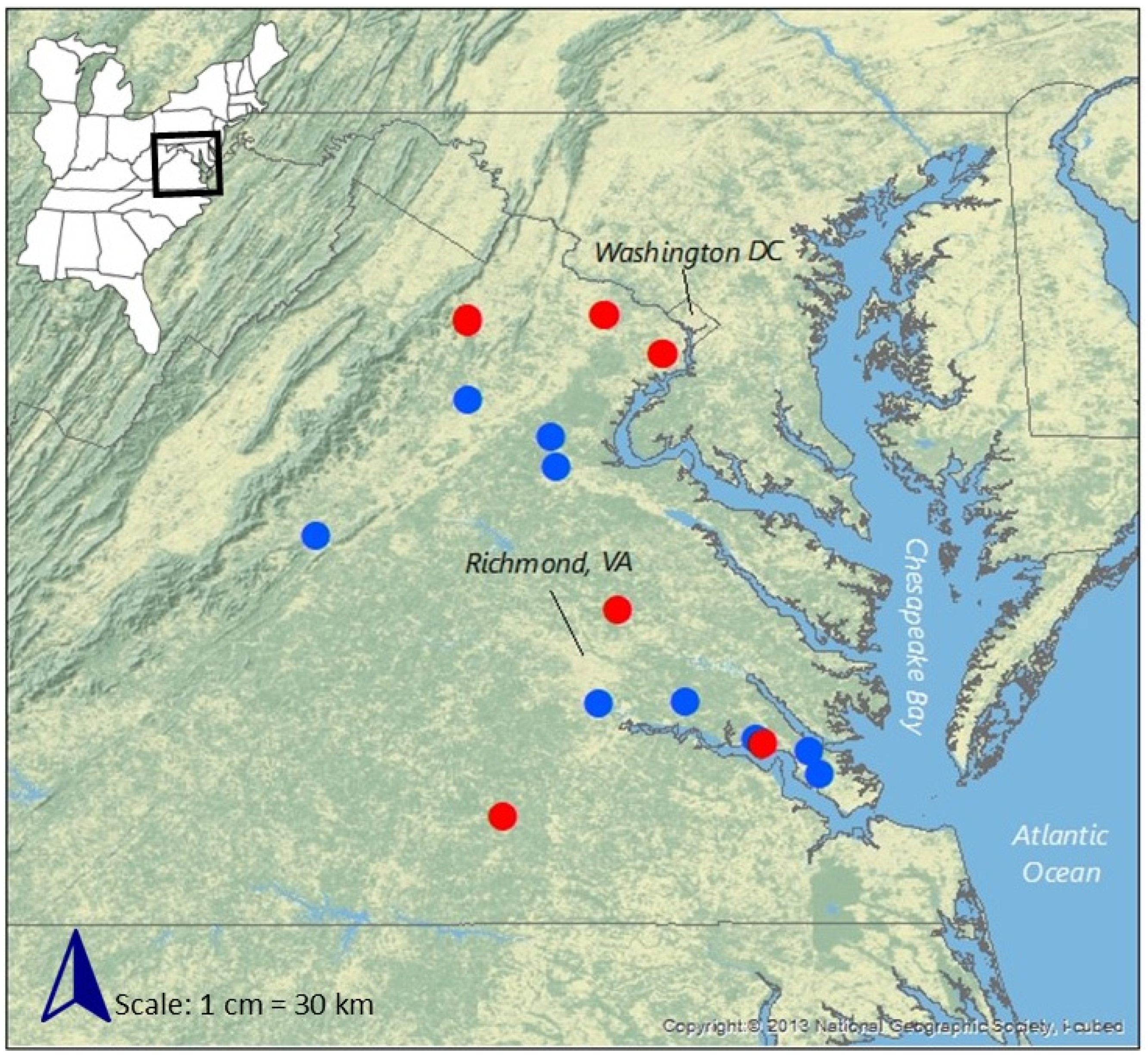 Forests 15 00964 g003