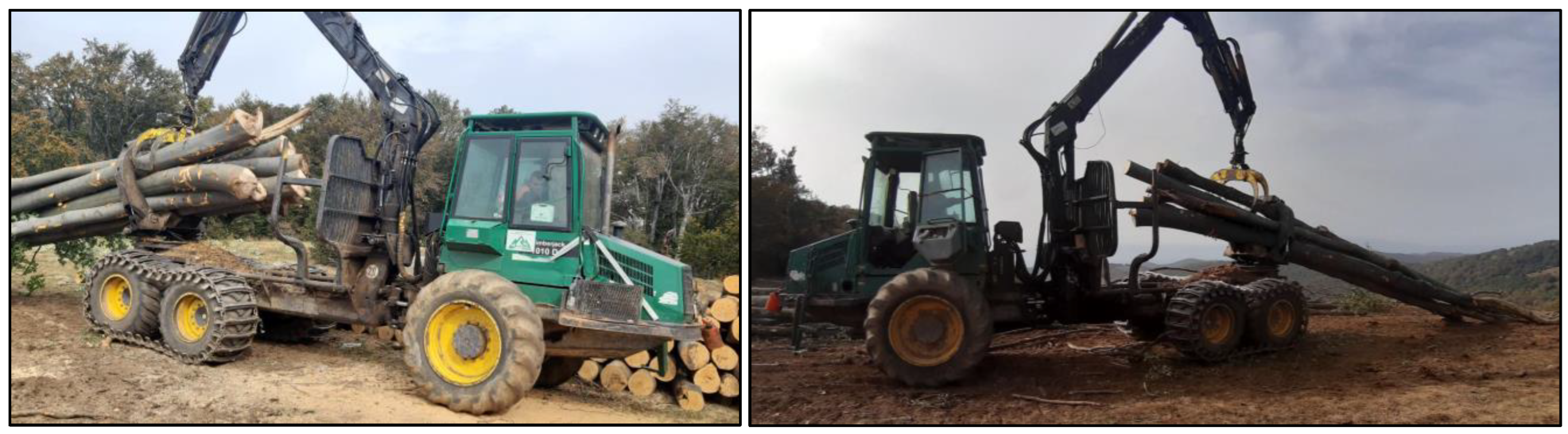 Forests 15 00980 g003