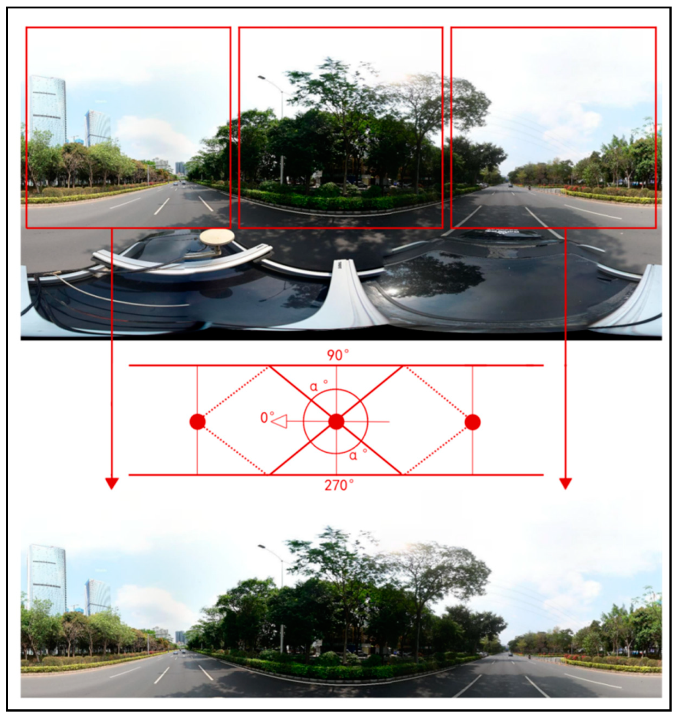 Forests 15 00983 g007