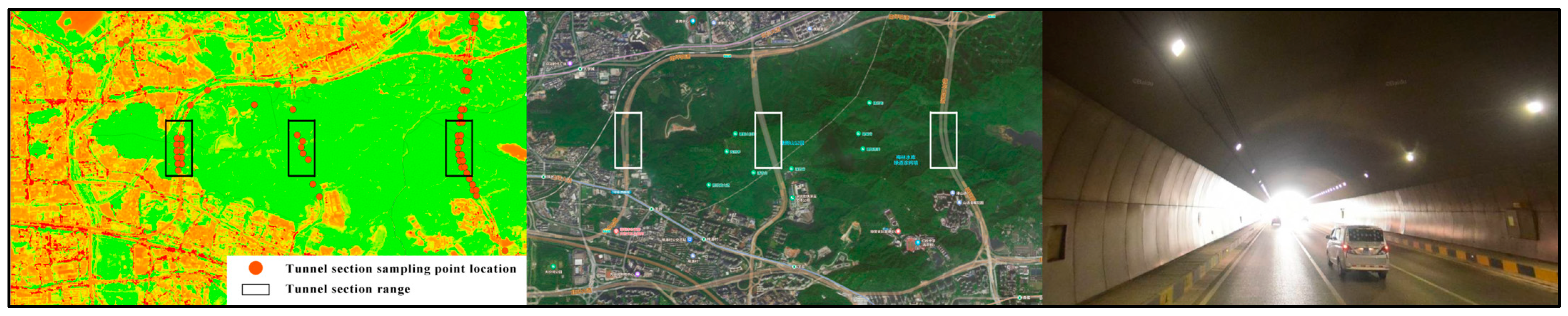 Forests 15 00983 g017