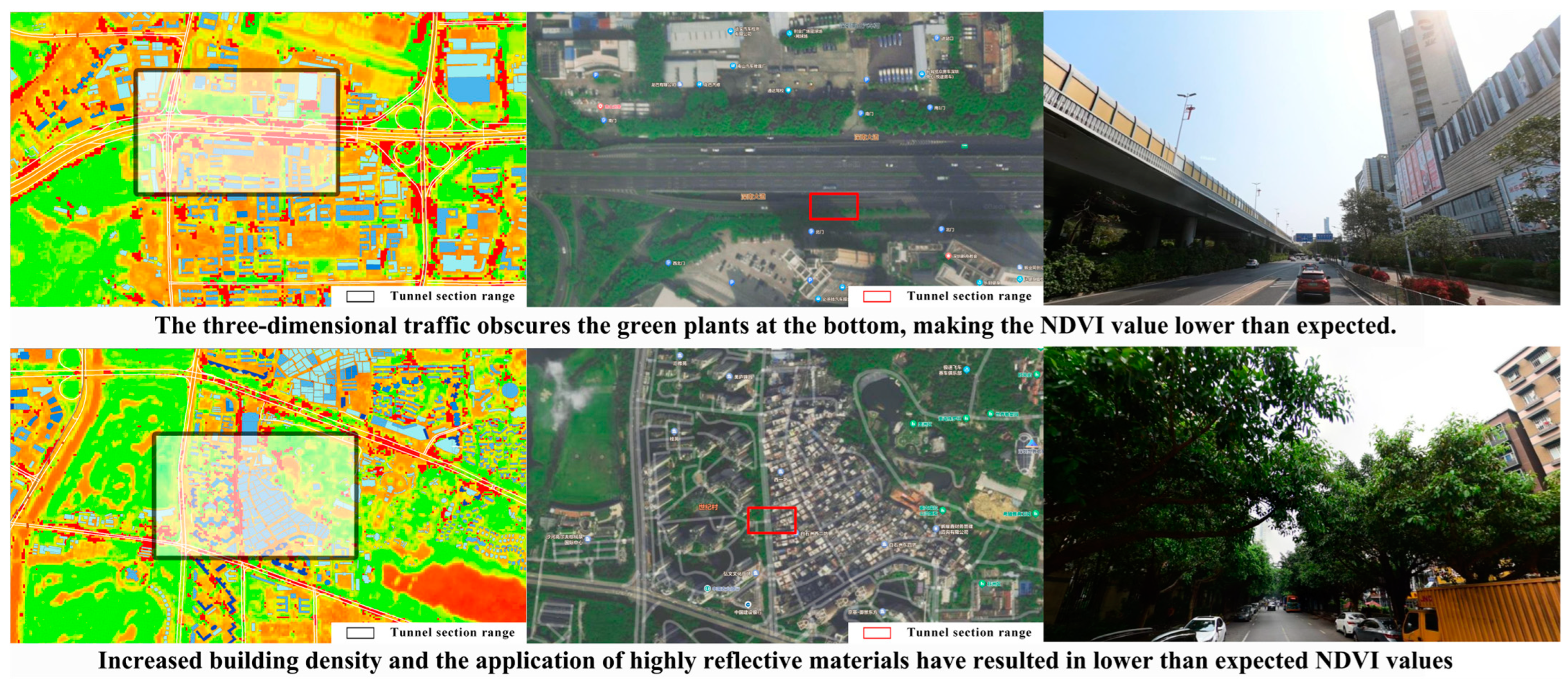 Forests 15 00983 g019